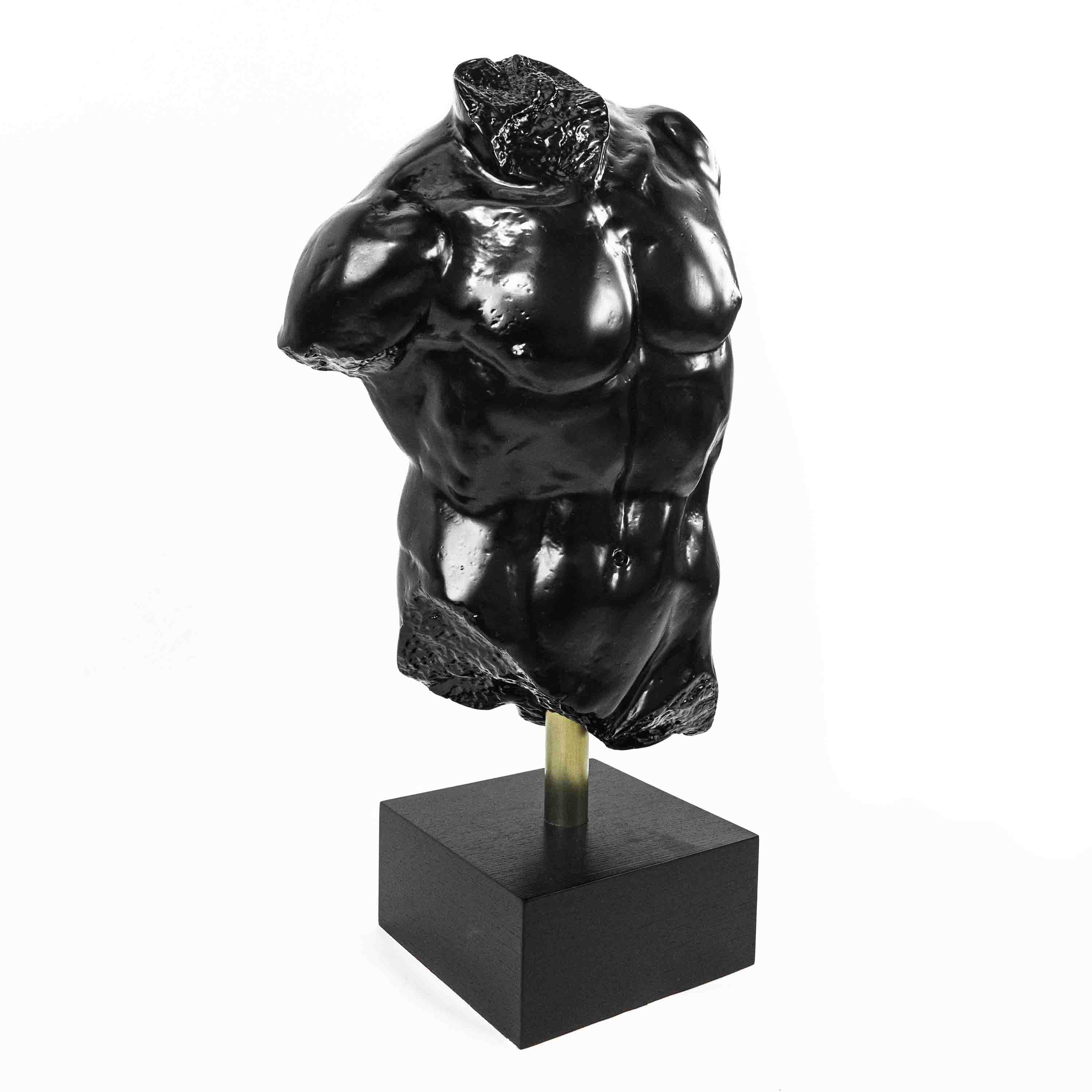 Elegant Male Torso Sculpture