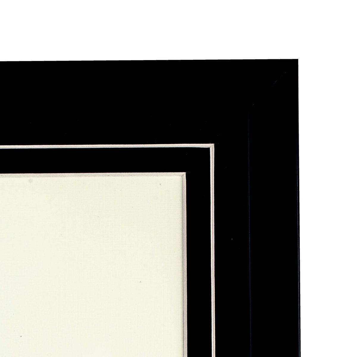 Tropical Print - Mauritia Aculeata Frame