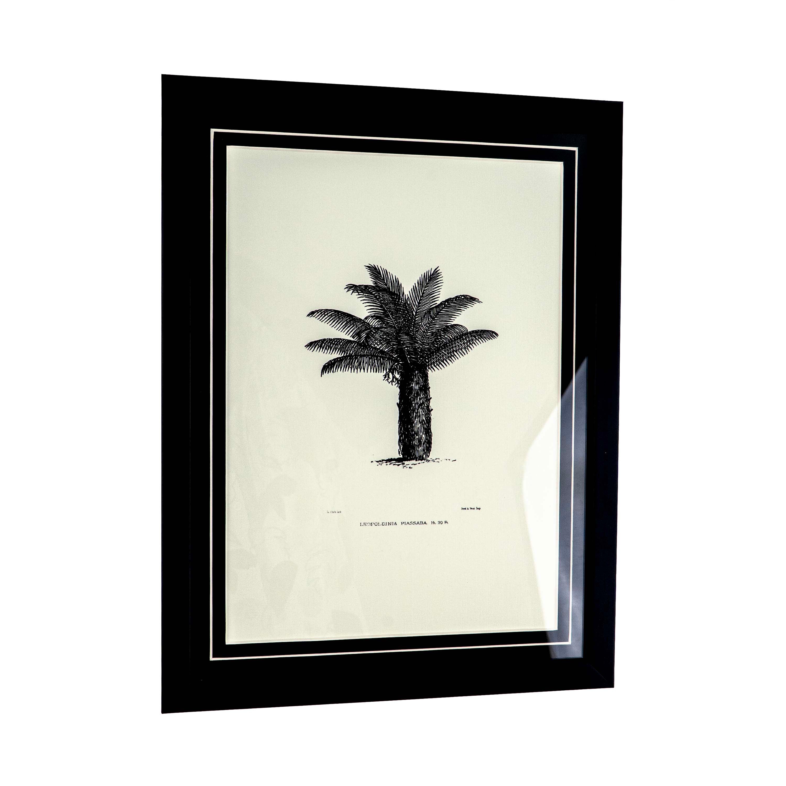 Tropical Print- Leopoldinia piassaba Frame