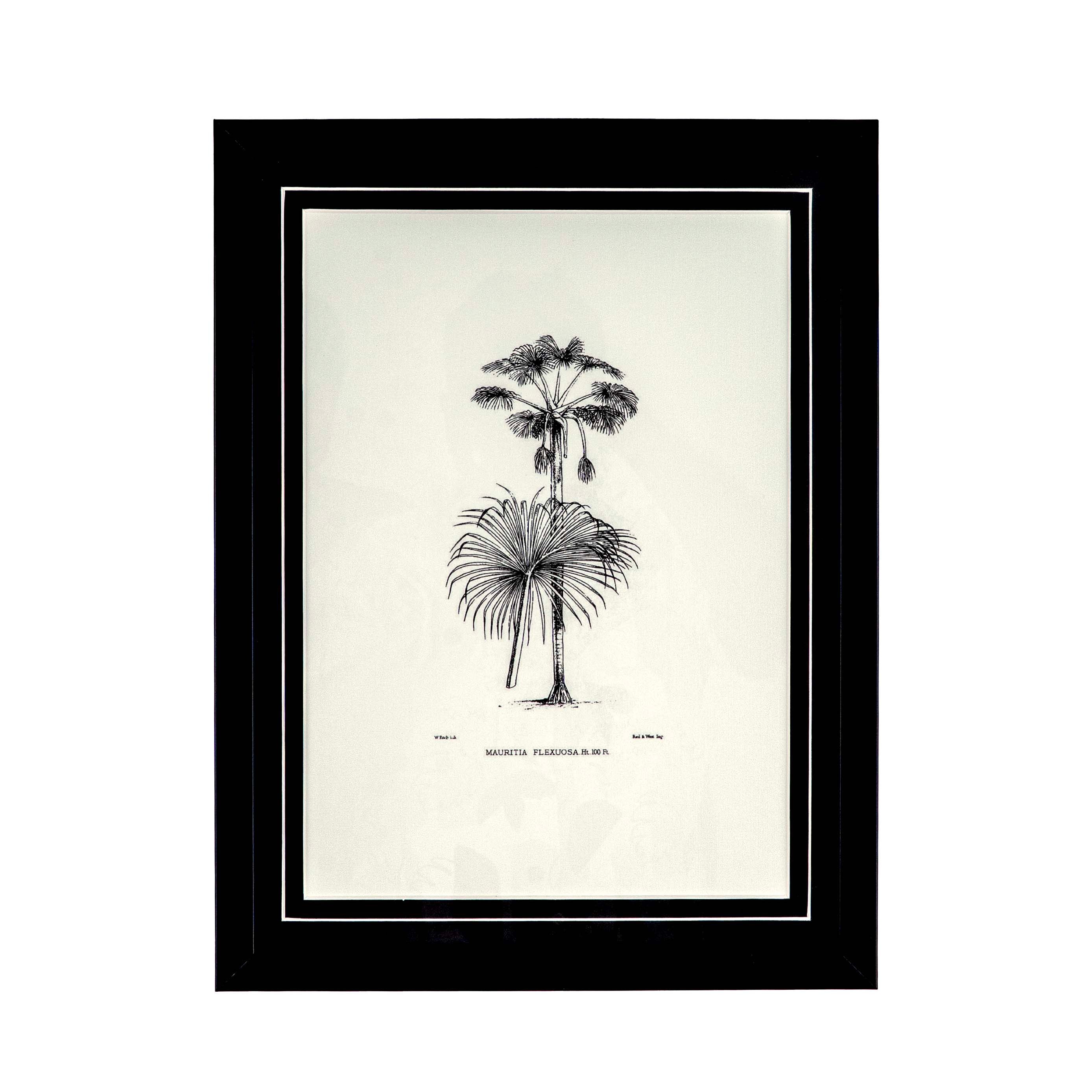 Tropical Print- Mauritia Flexuosa Frame