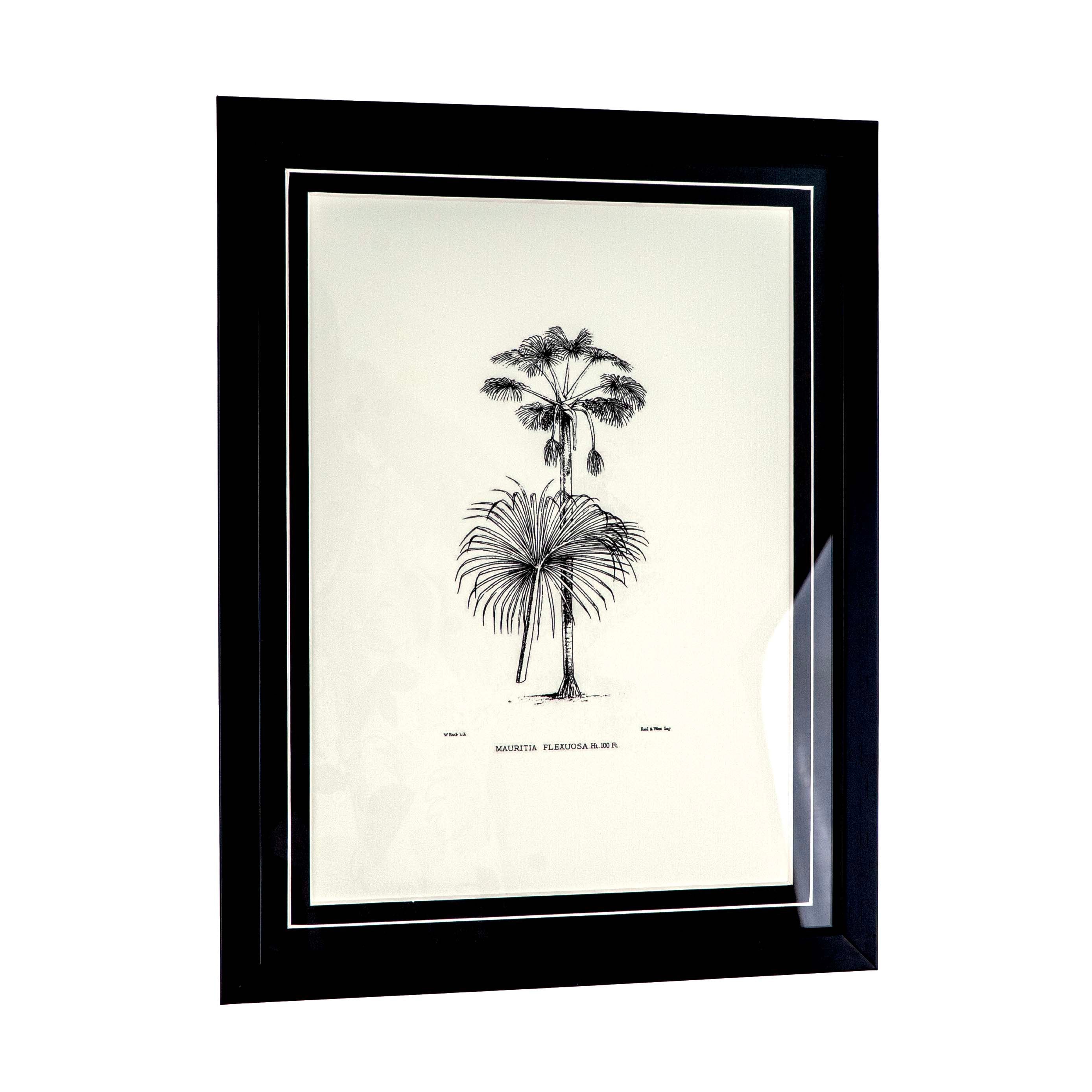 Tropical Print- Mauritia Flexuosa Frame