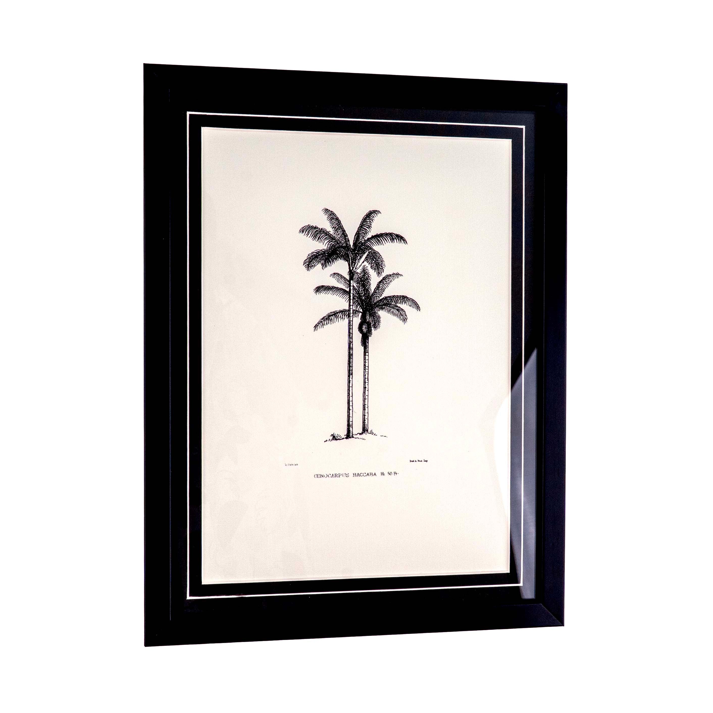 Tropical Print- Cenocarpus Baccaba Frame