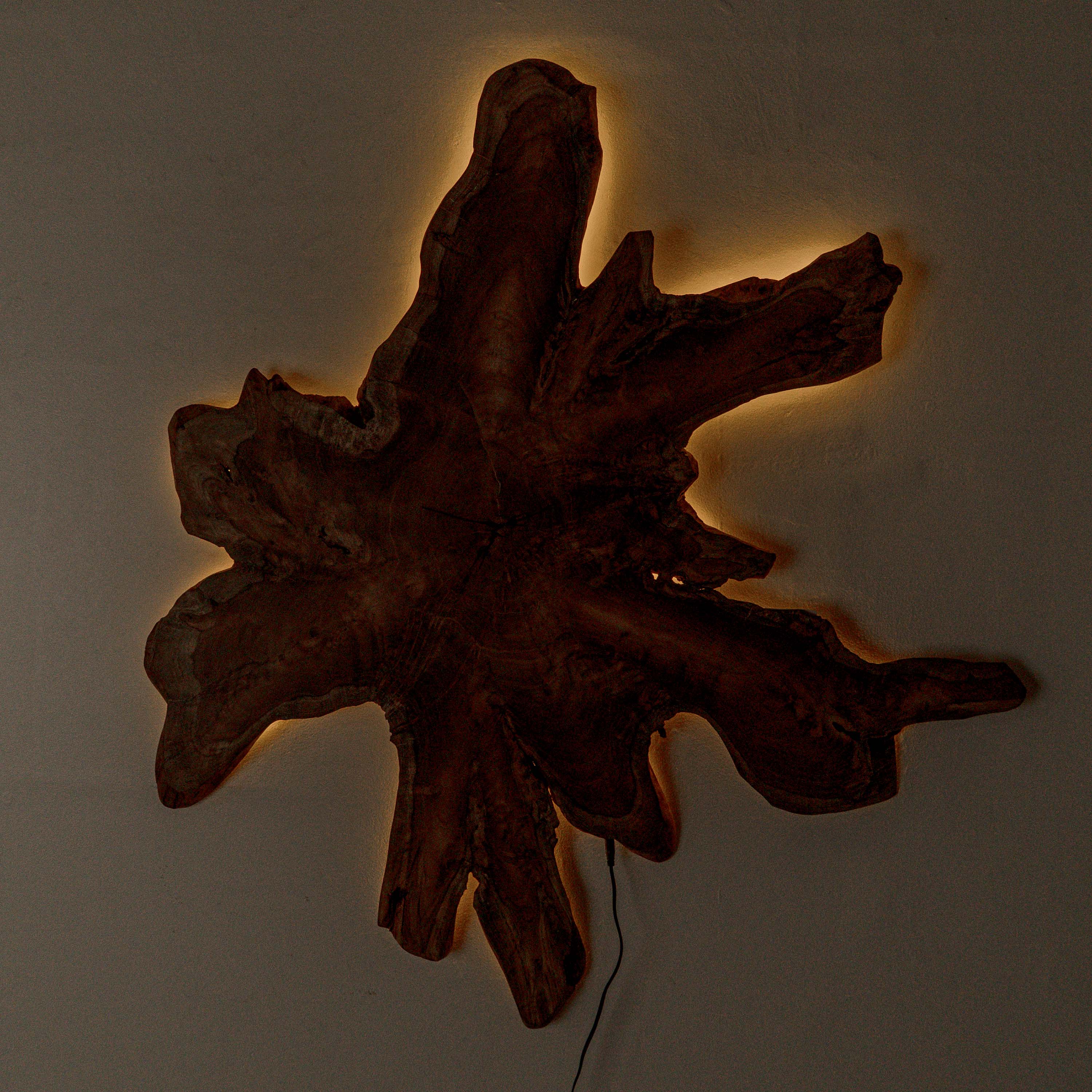 Fantis Freeform Wall Hanging