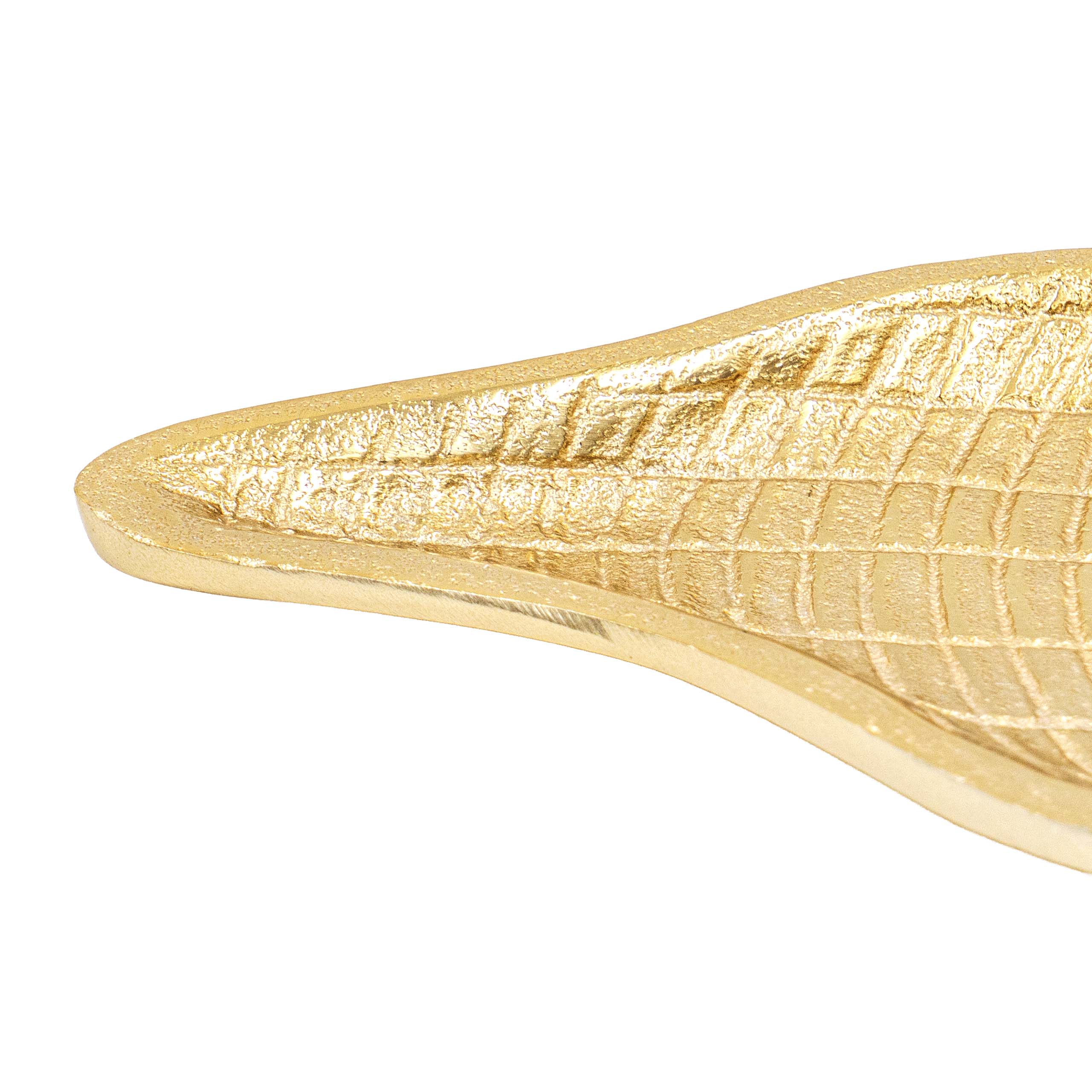 Serene Shell Decor
