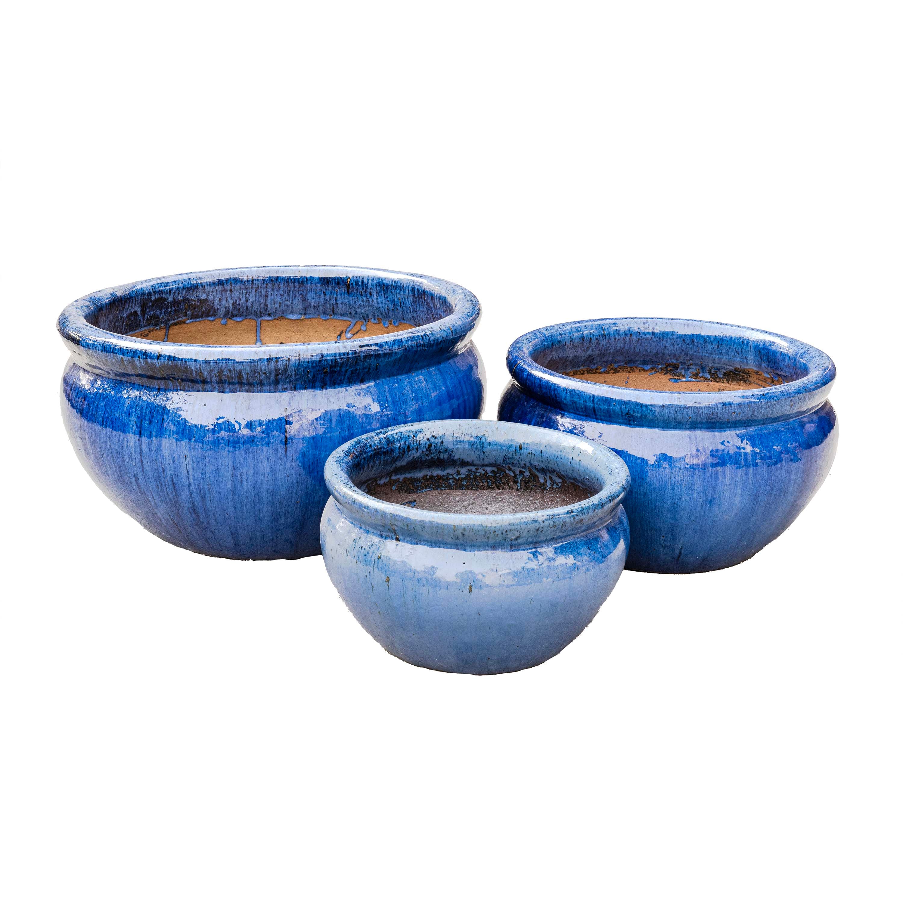 Sanskrit Planter