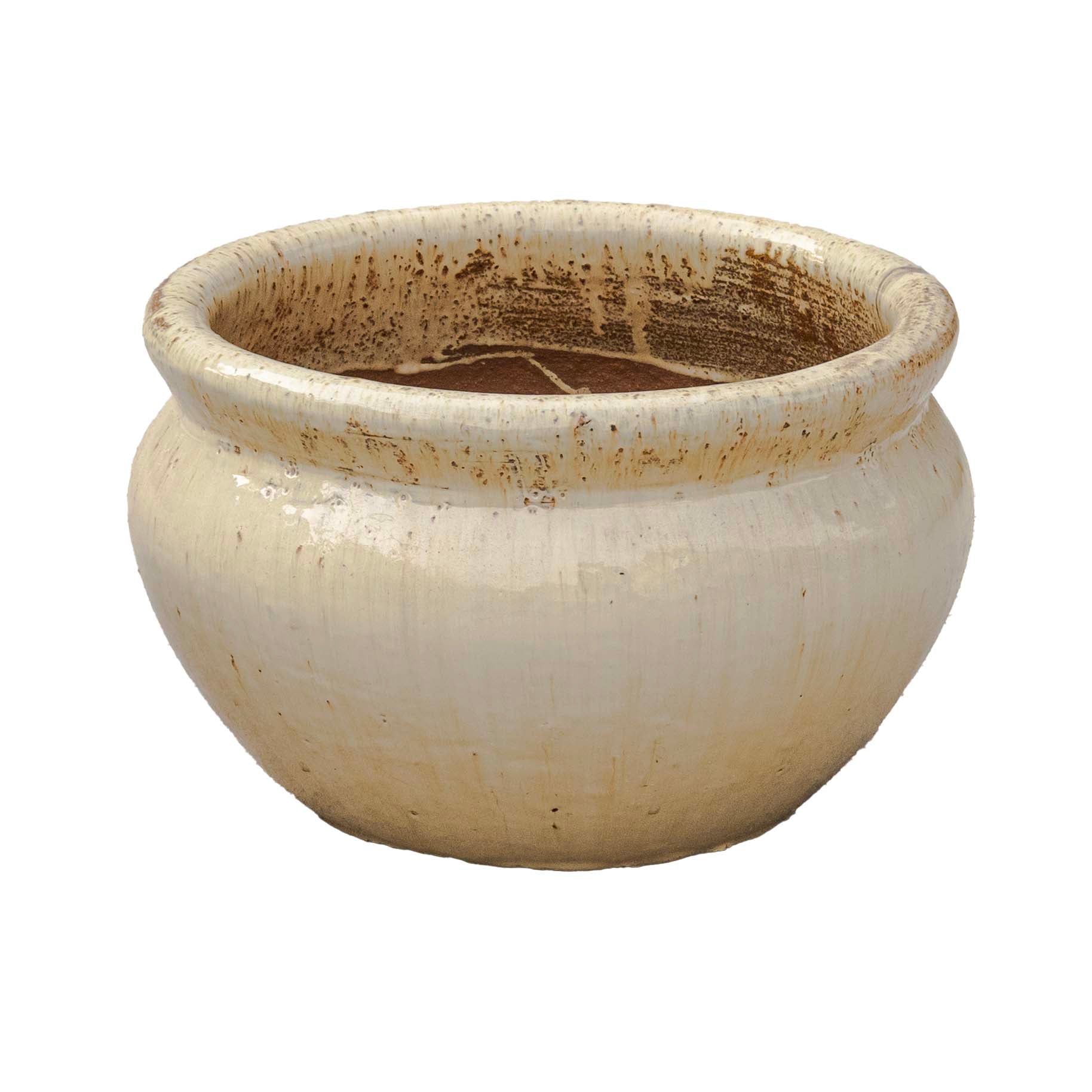 Sanskrit Planter