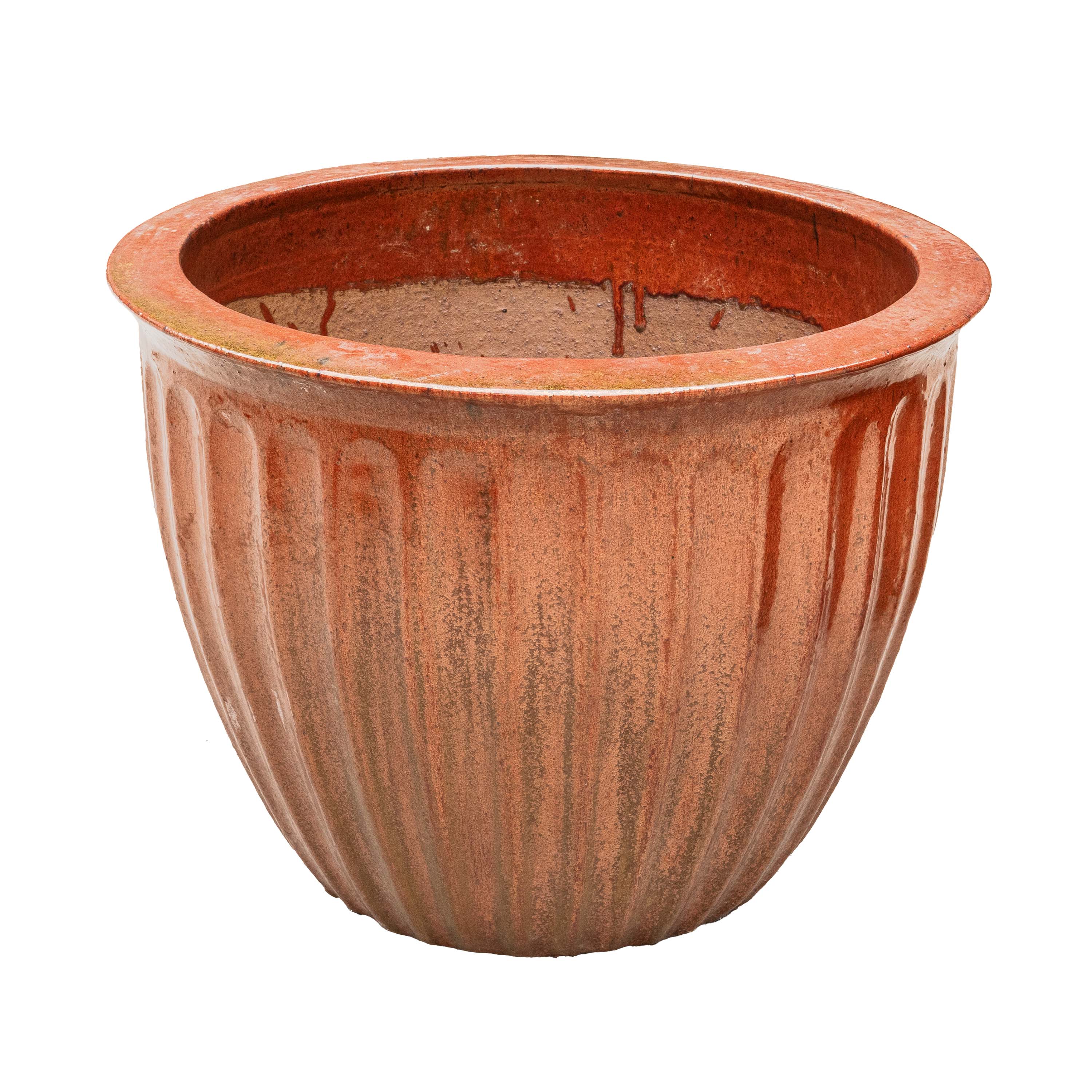 STARFRUIT PLANTER