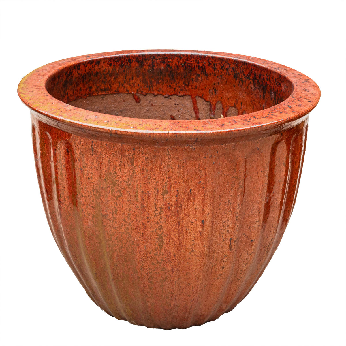 STARFRUIT PLANTER