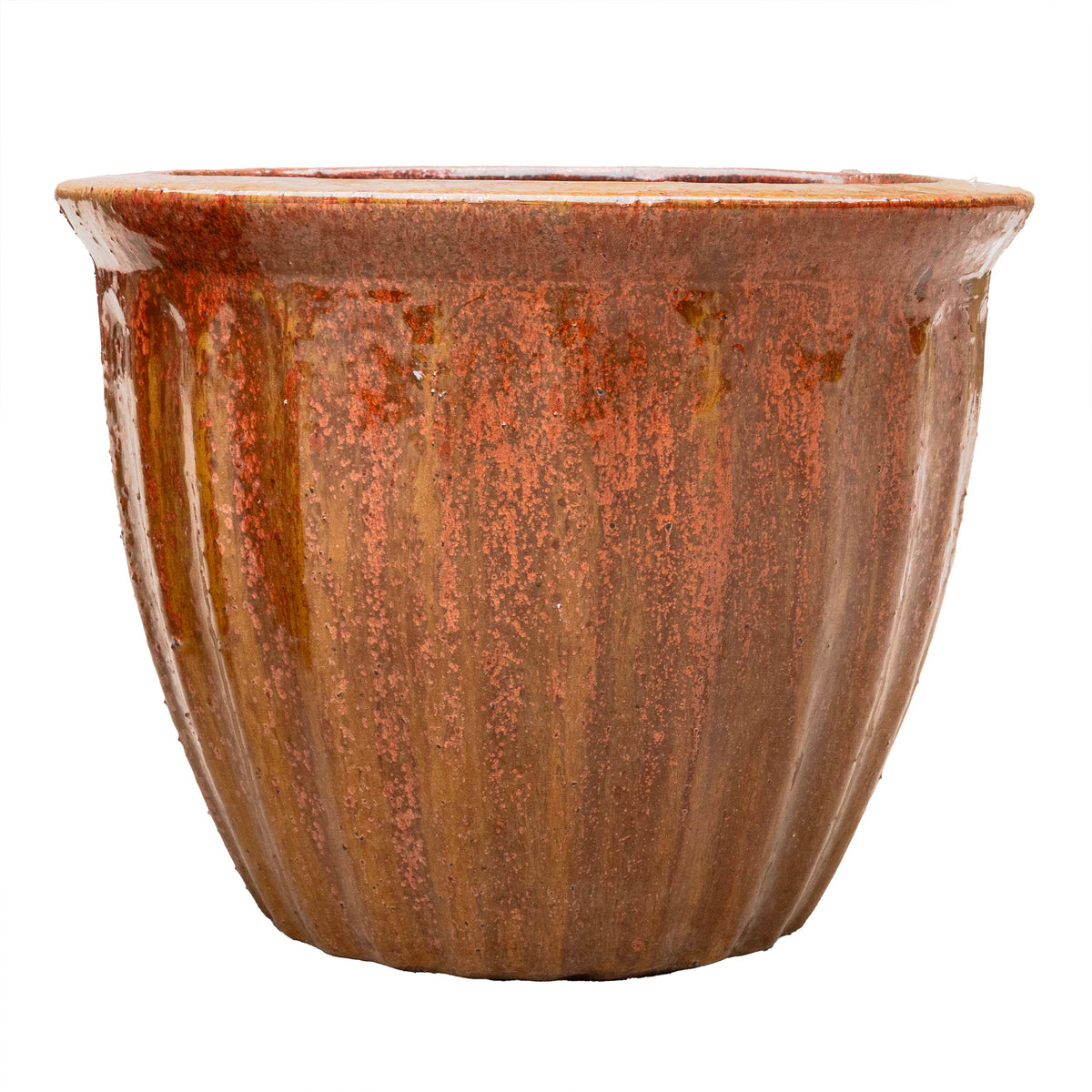 STARFRUIT PLANTER