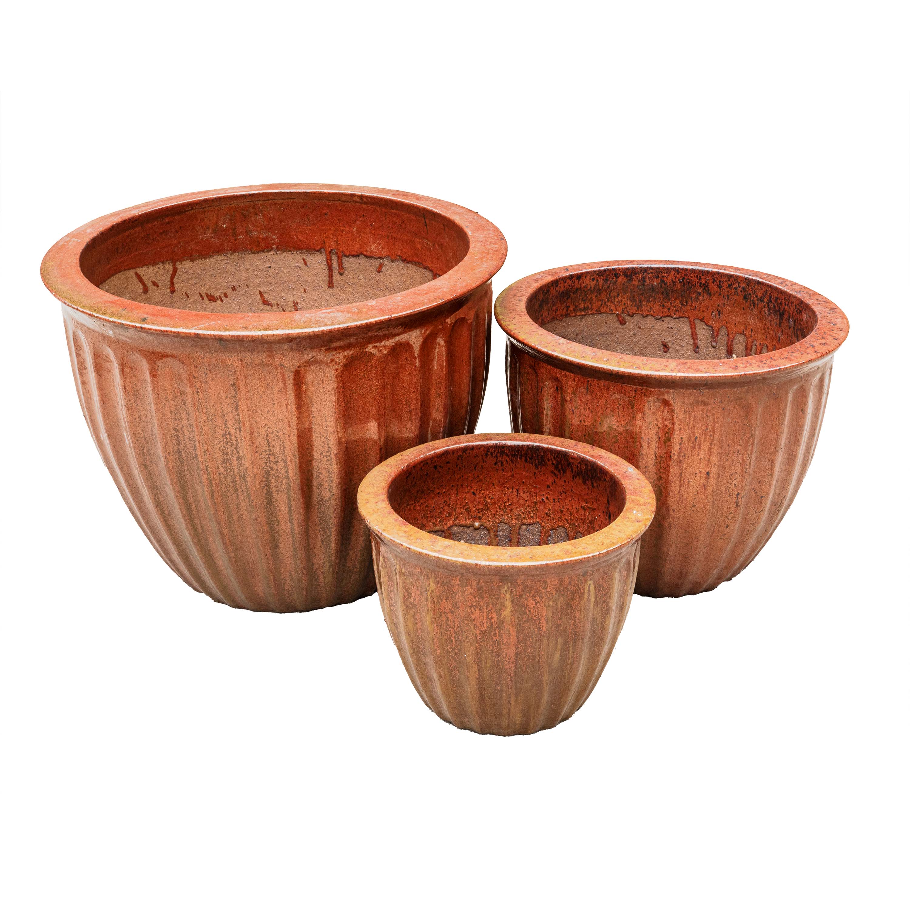 STARFRUIT PLANTER