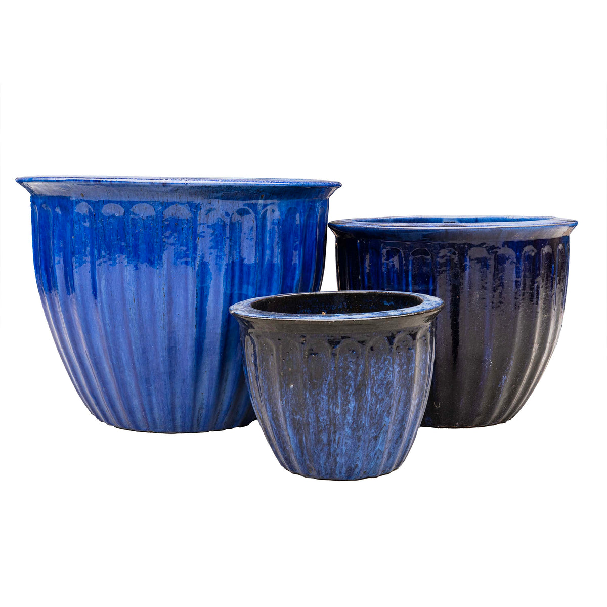 STARFRUIT PLANTER