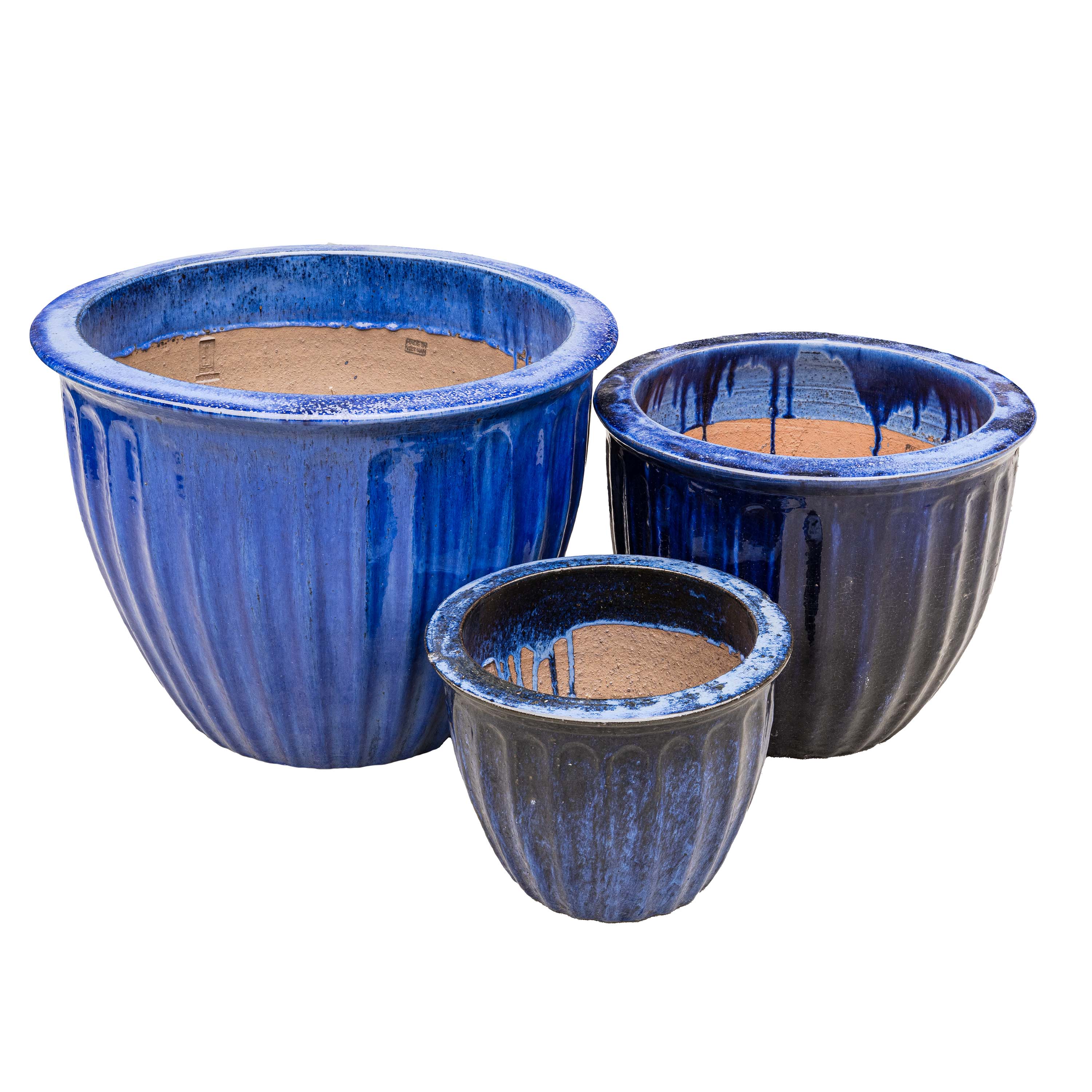 STARFRUIT PLANTER