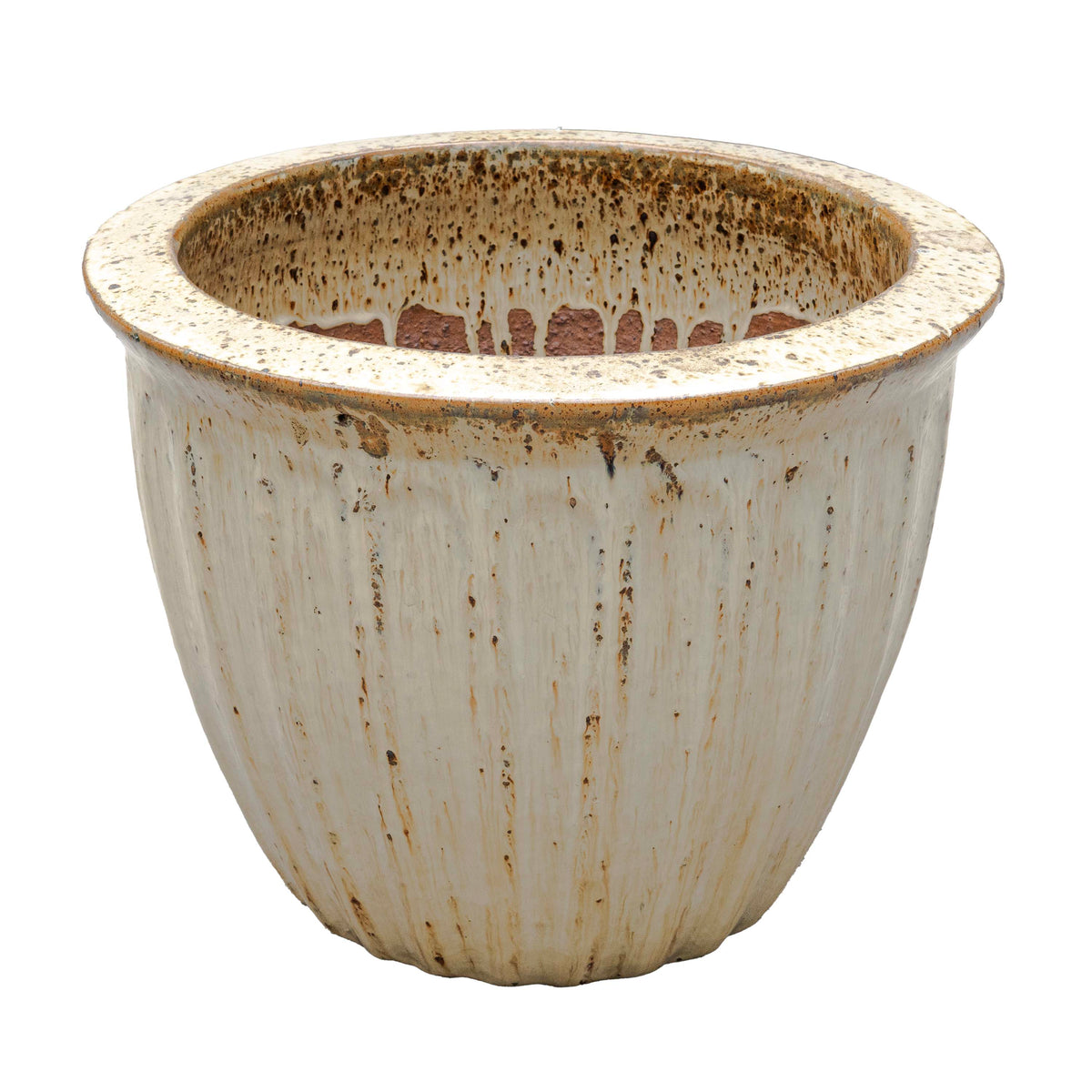 STARFRUIT PLANTER