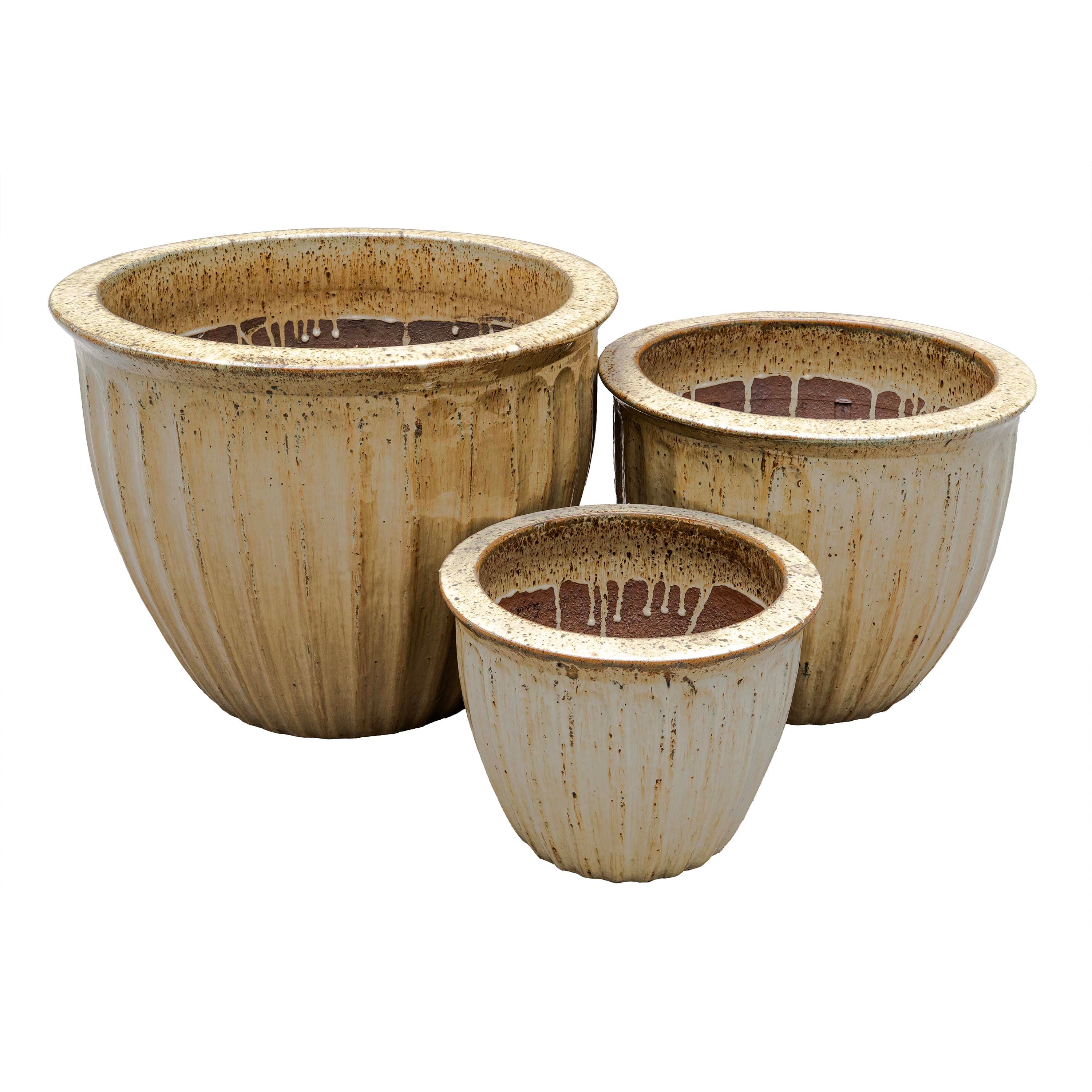 STARFRUIT PLANTER