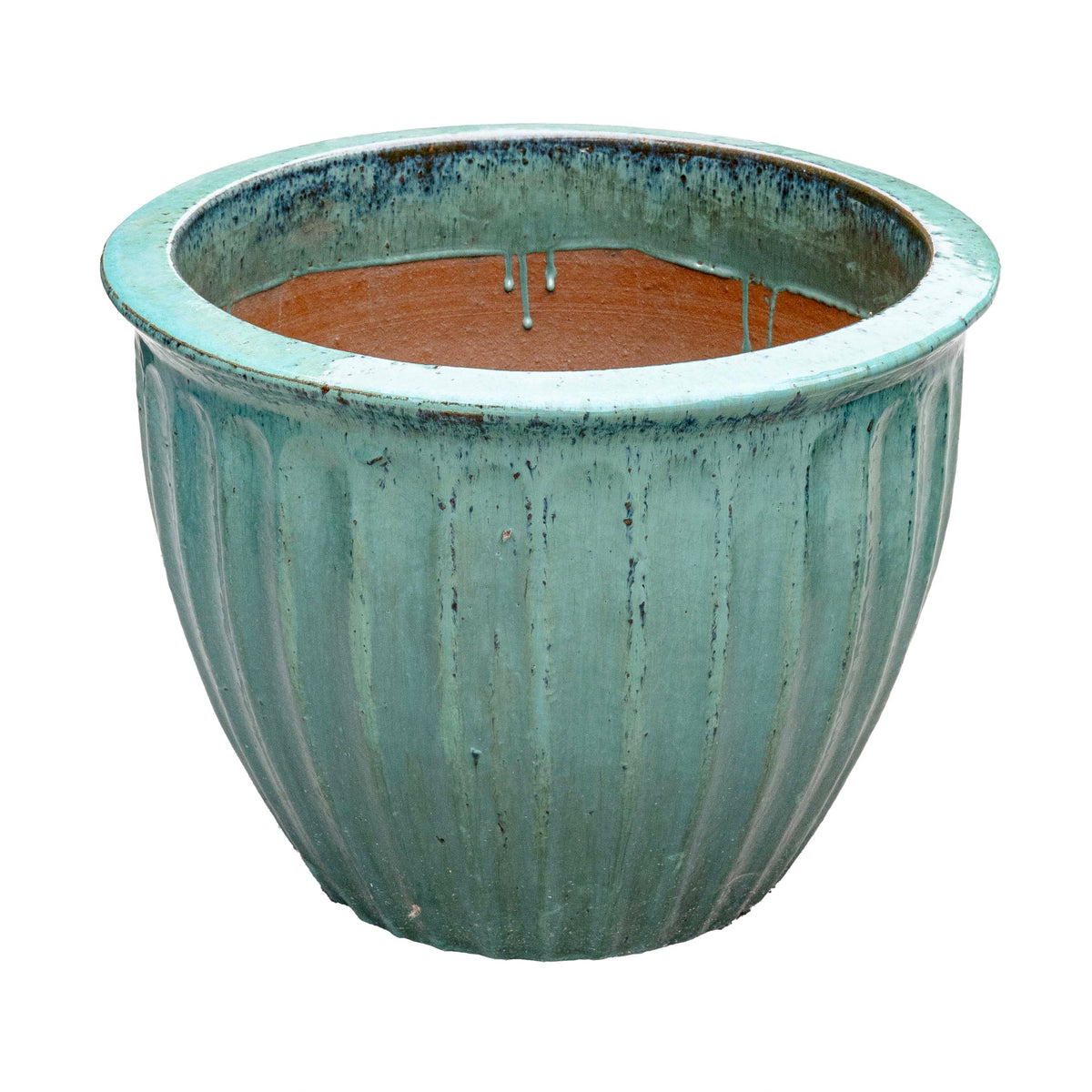 STARFRUIT PLANTER