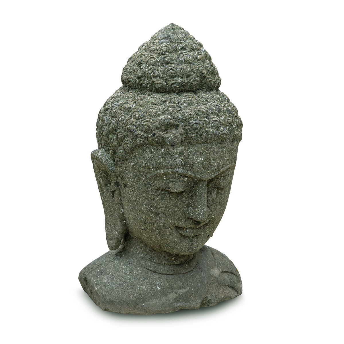 BUDDHA SHARAN
