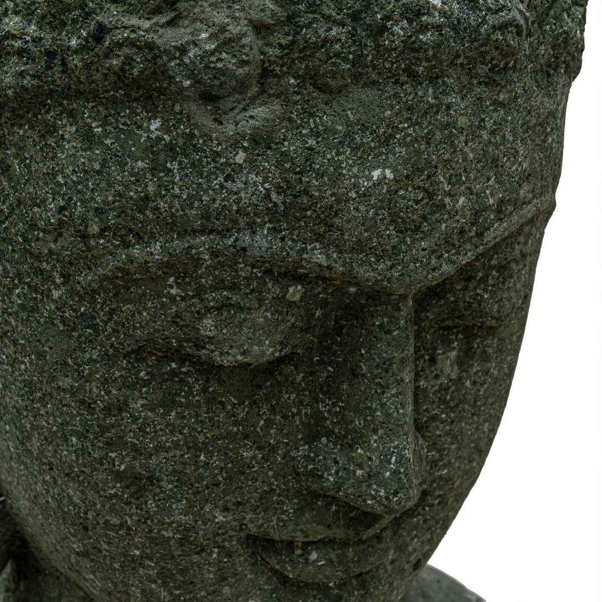 BUDDHA SHARAN