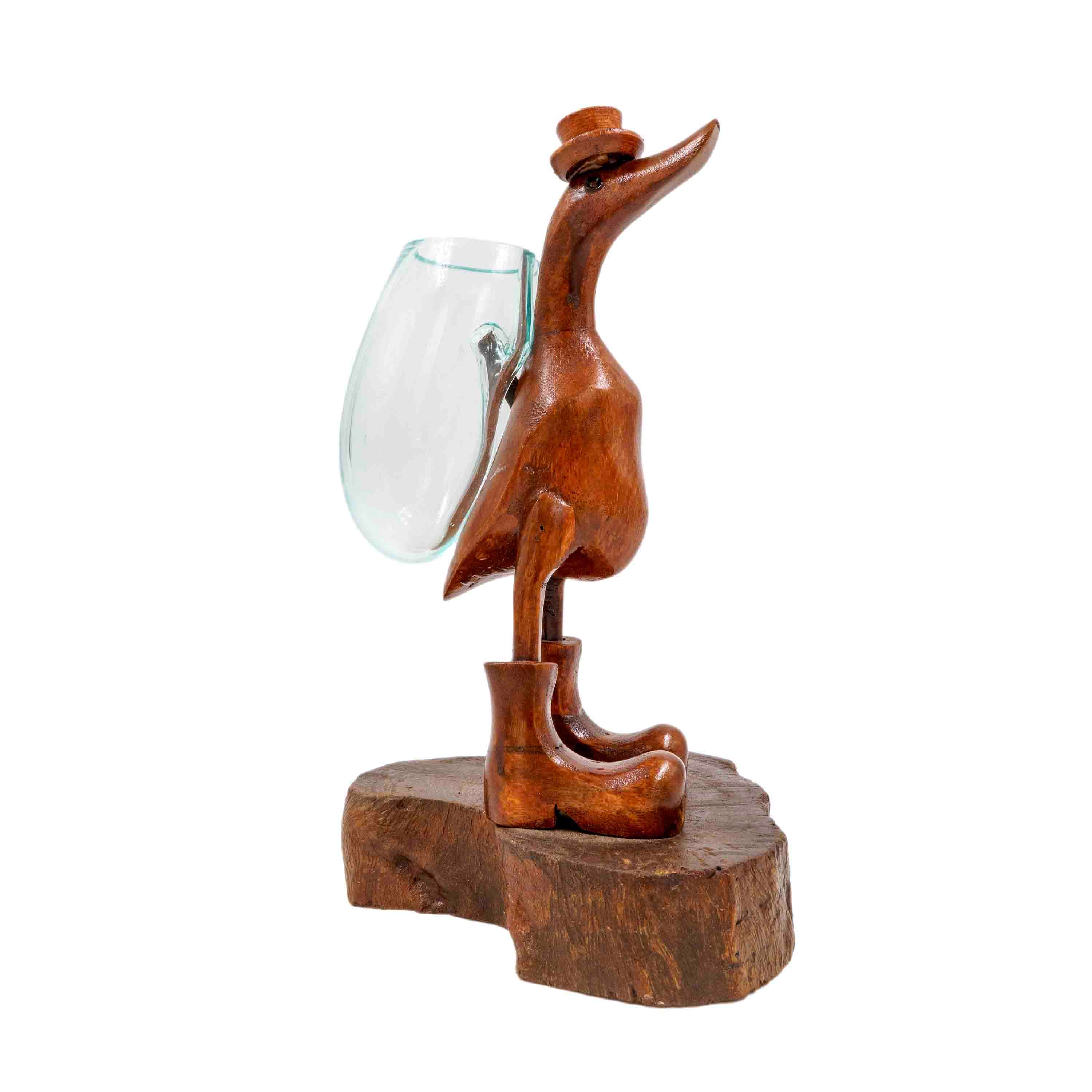 Duck