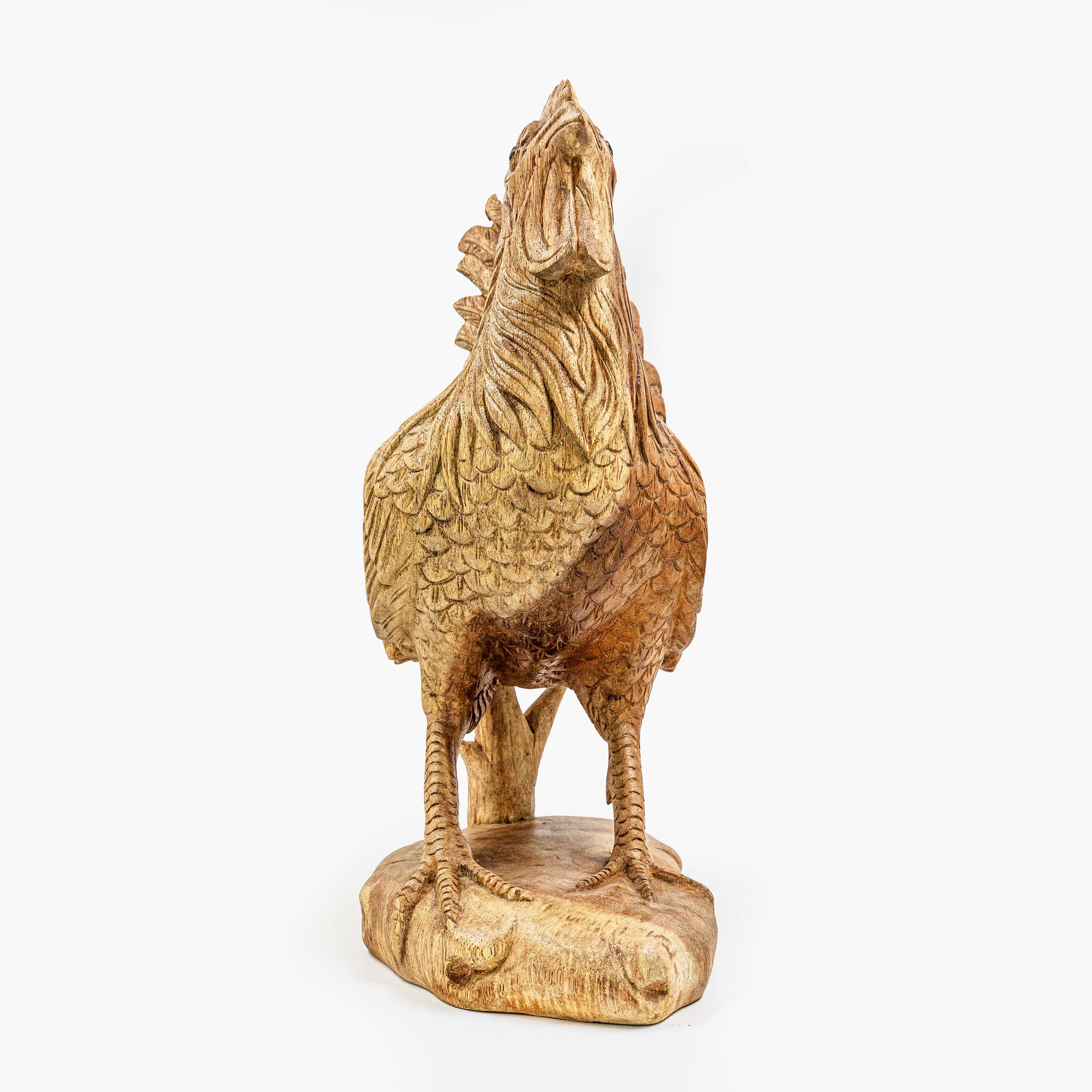 AYU ROOSTER
