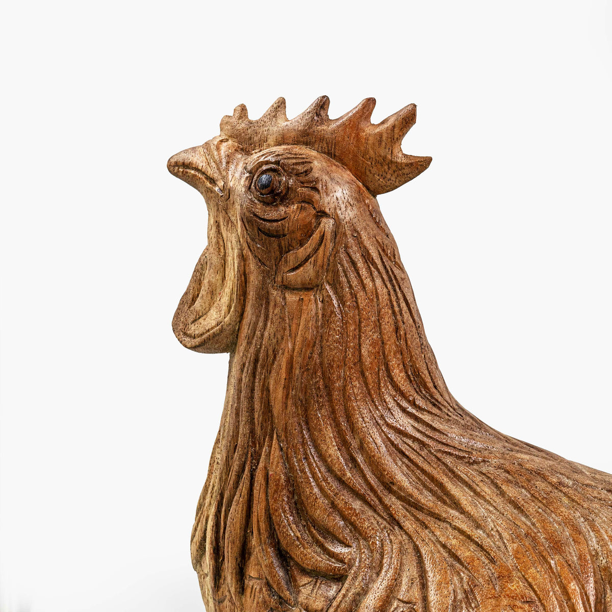 AYU ROOSTER