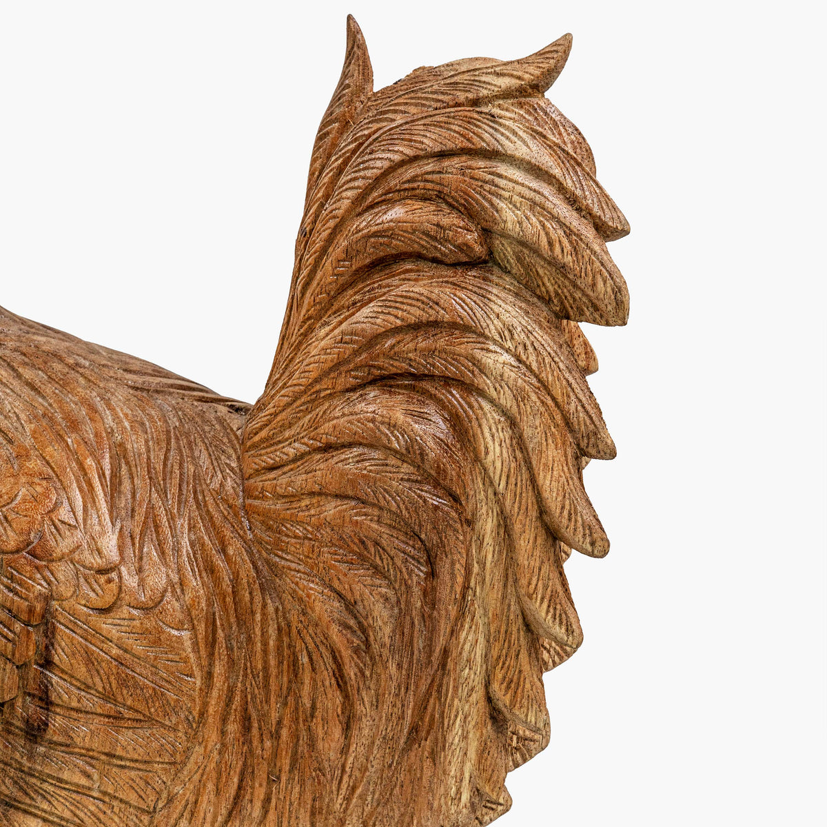 AYU ROOSTER
