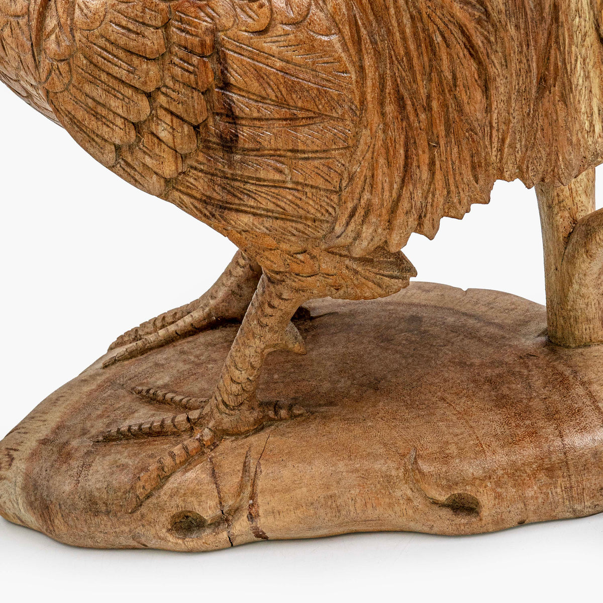 AYU ROOSTER