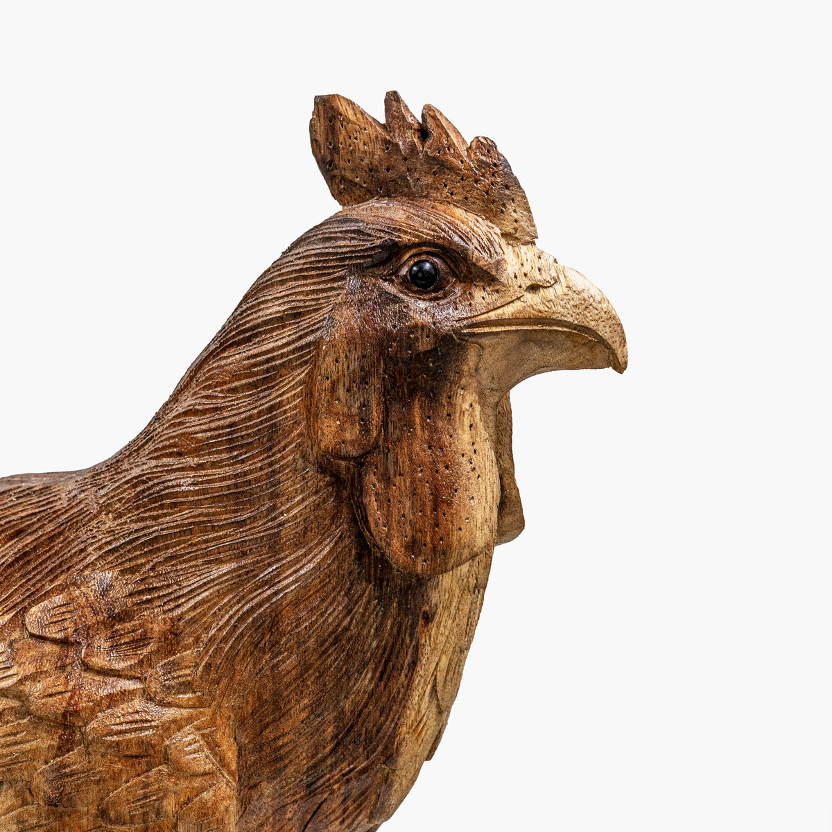 AYU ROOSTER