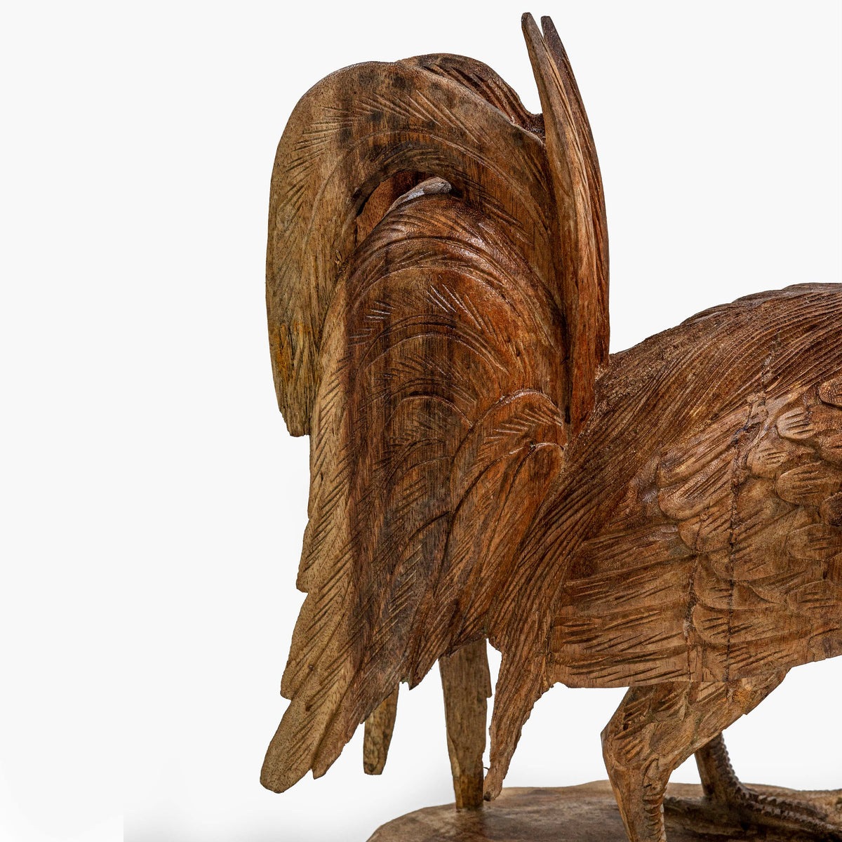AYU ROOSTER