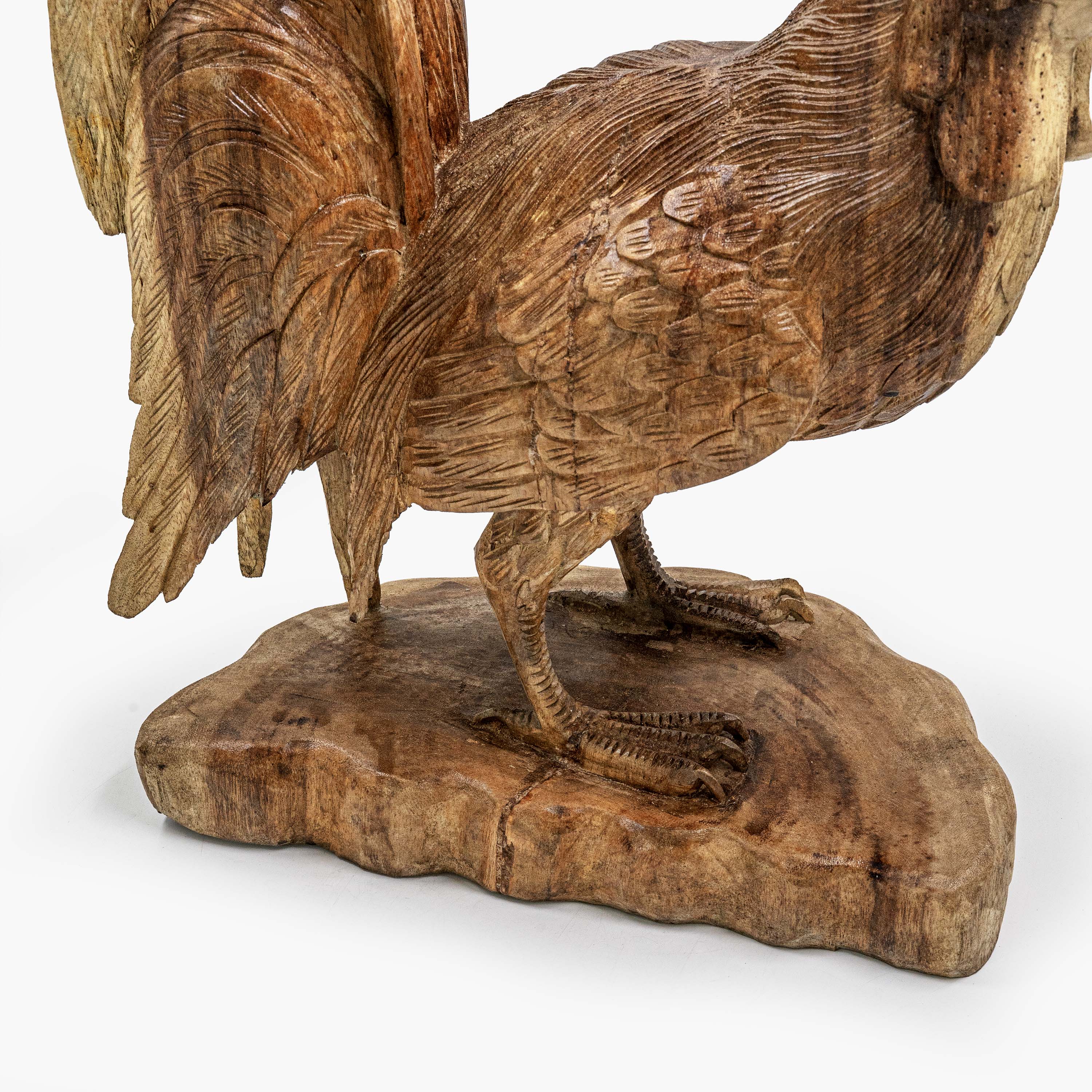 AYU ROOSTER