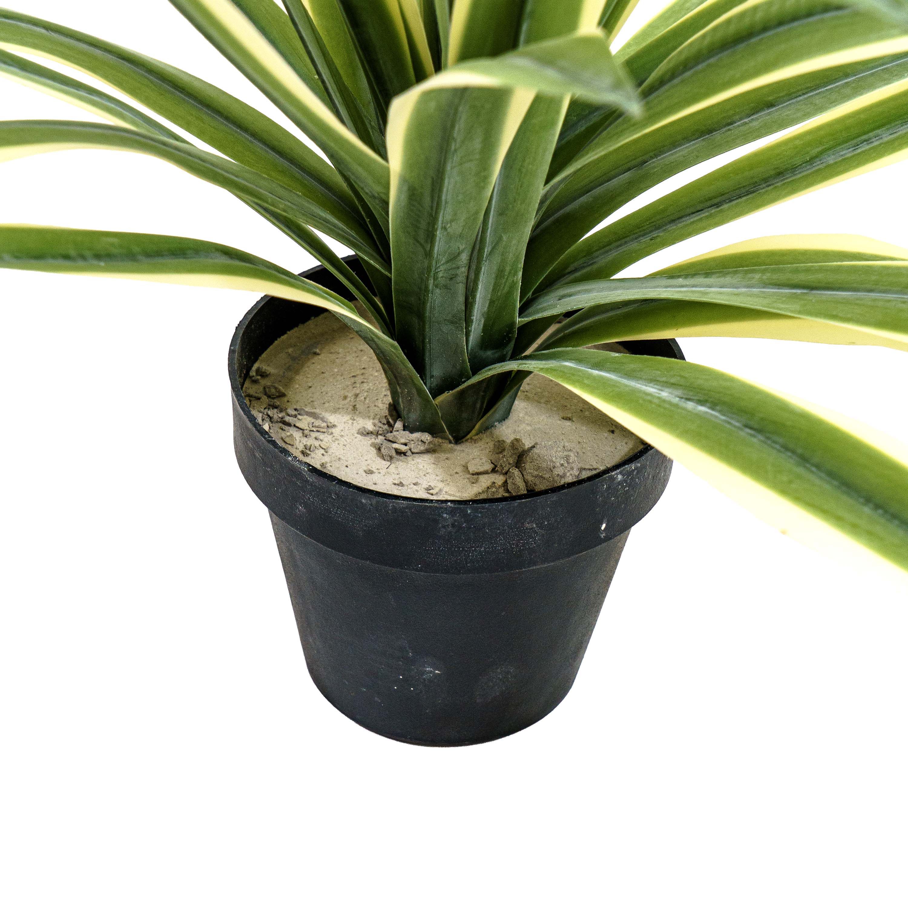 Faux Agave Spear Wide Rosette