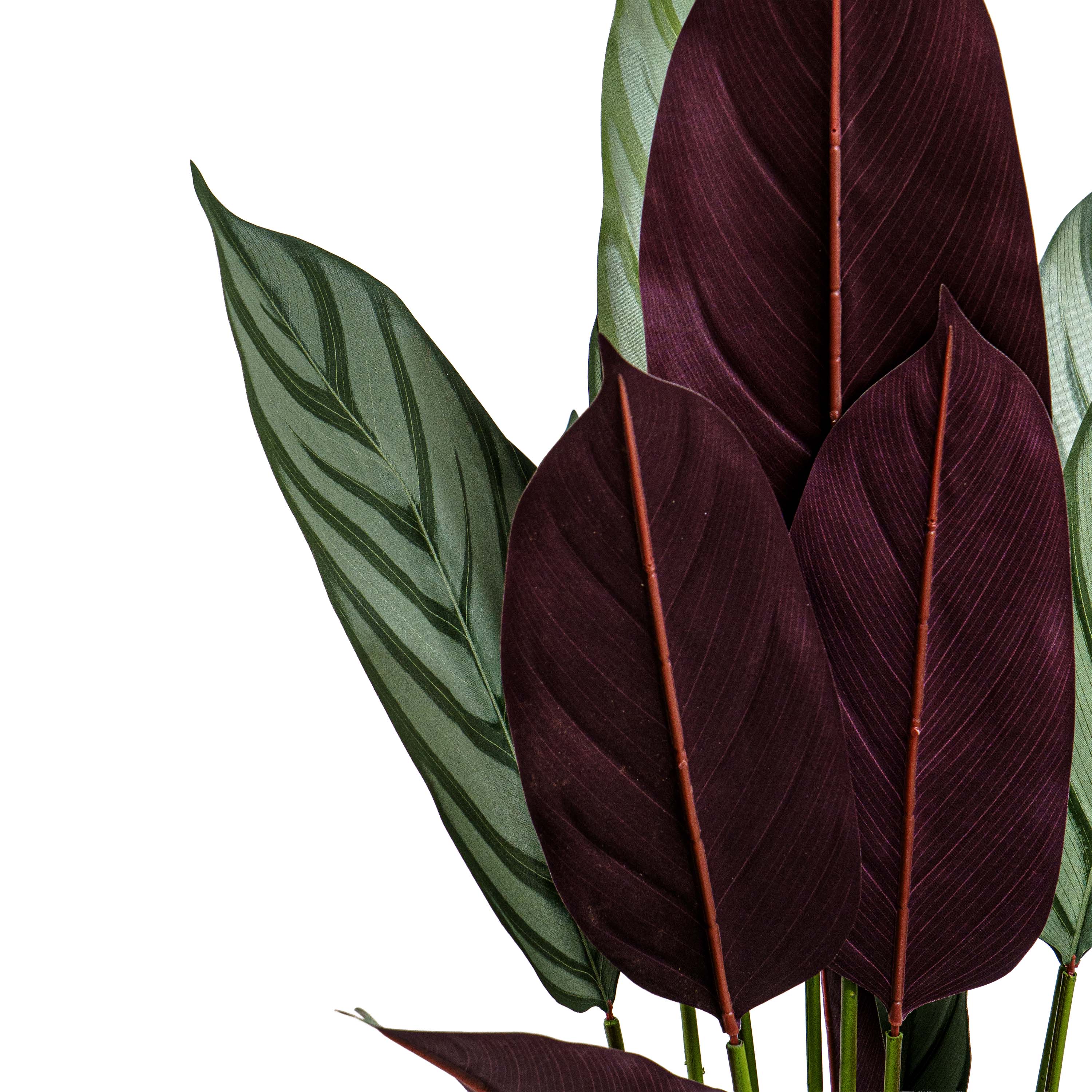 Faux Calathea Vein Plant