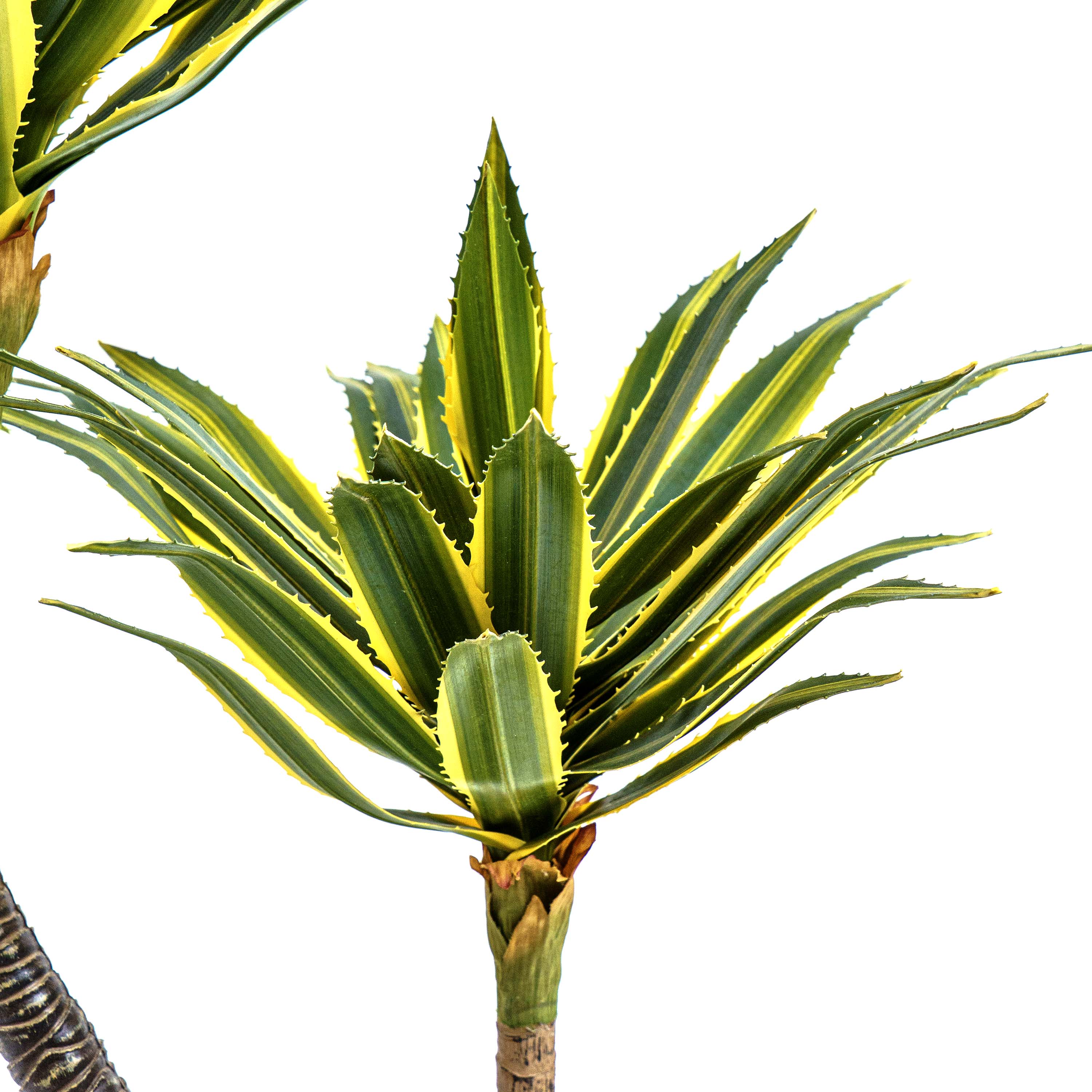 Twin Agave Faux Plant