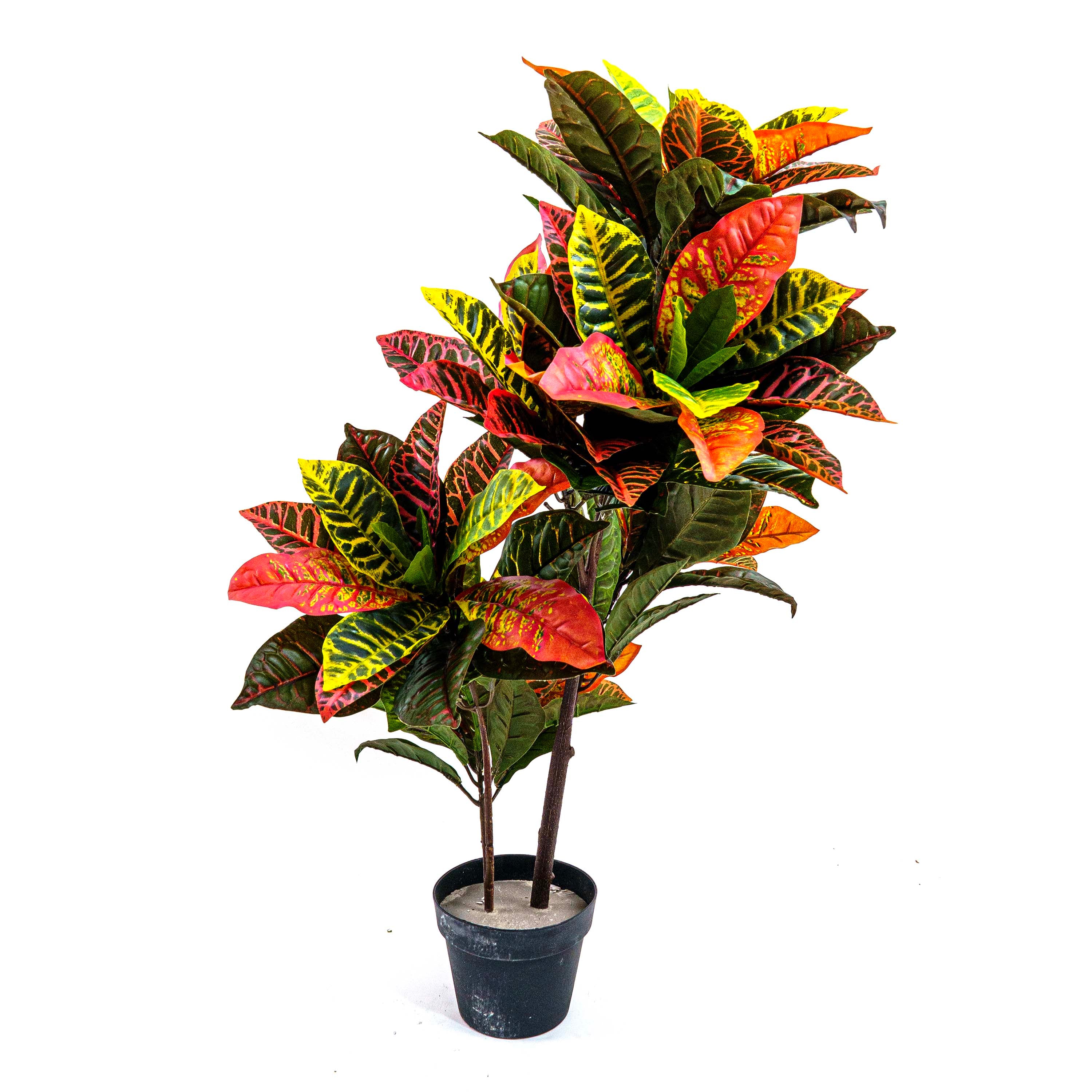 Faux Crotons Plant