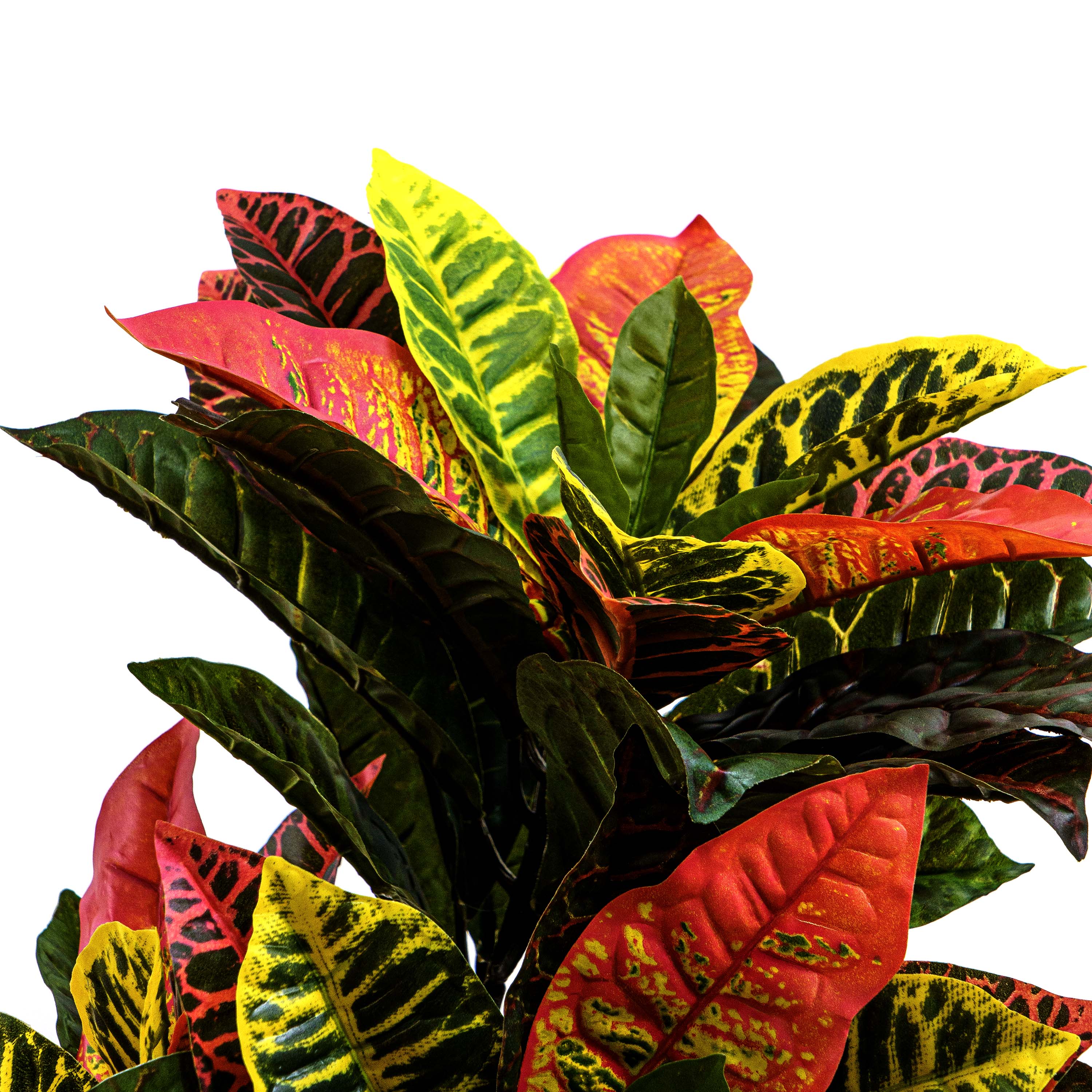 Faux Crotons Plant