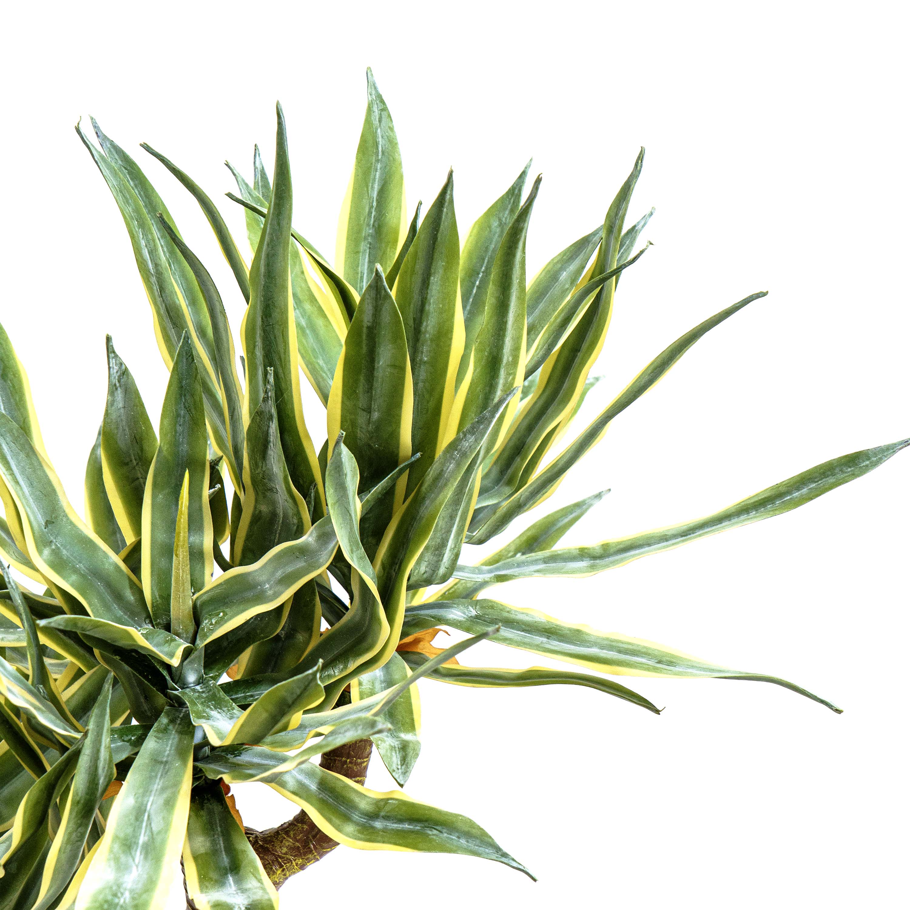 Faux Twin Trunk Agave Plant