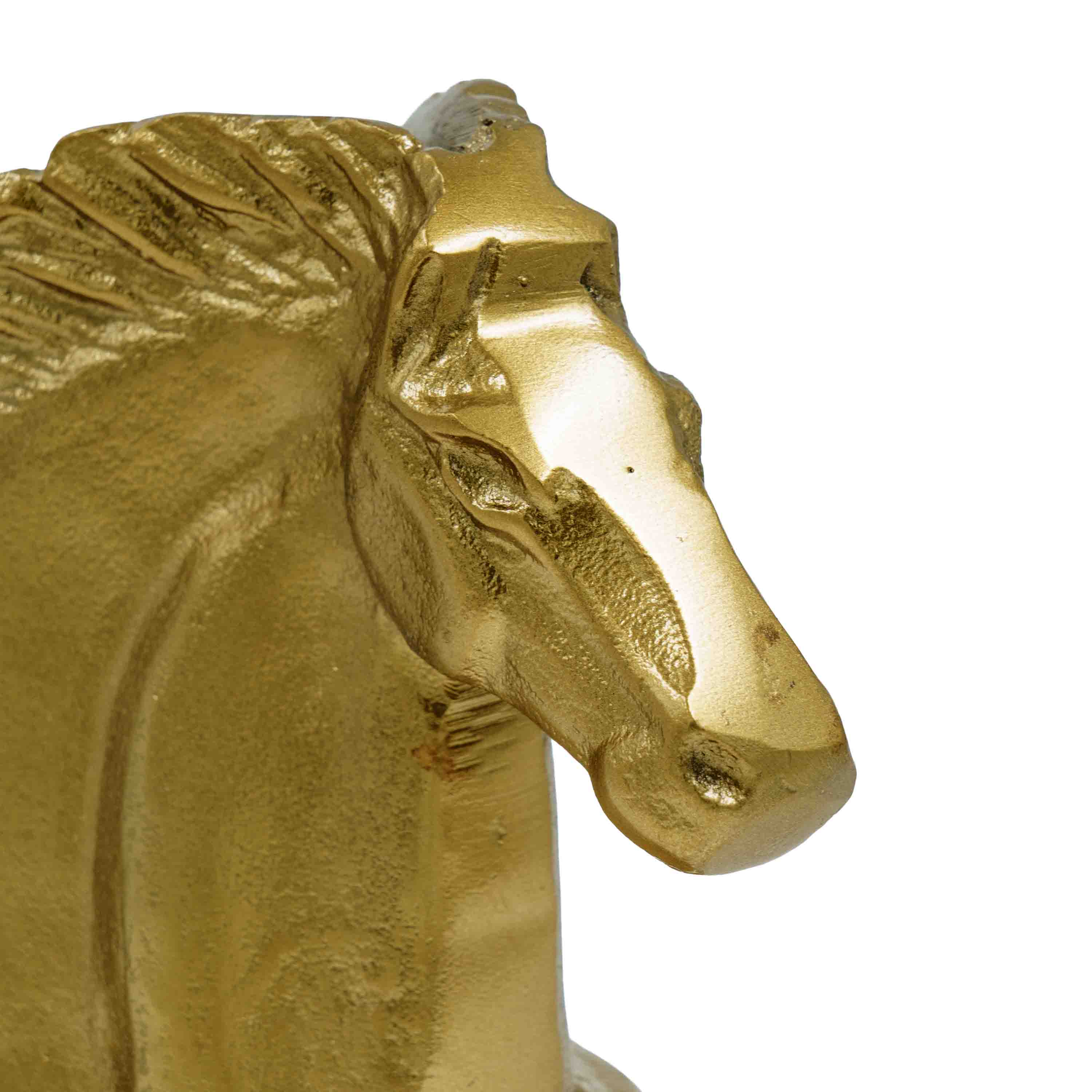 The Golden Gallant Knight