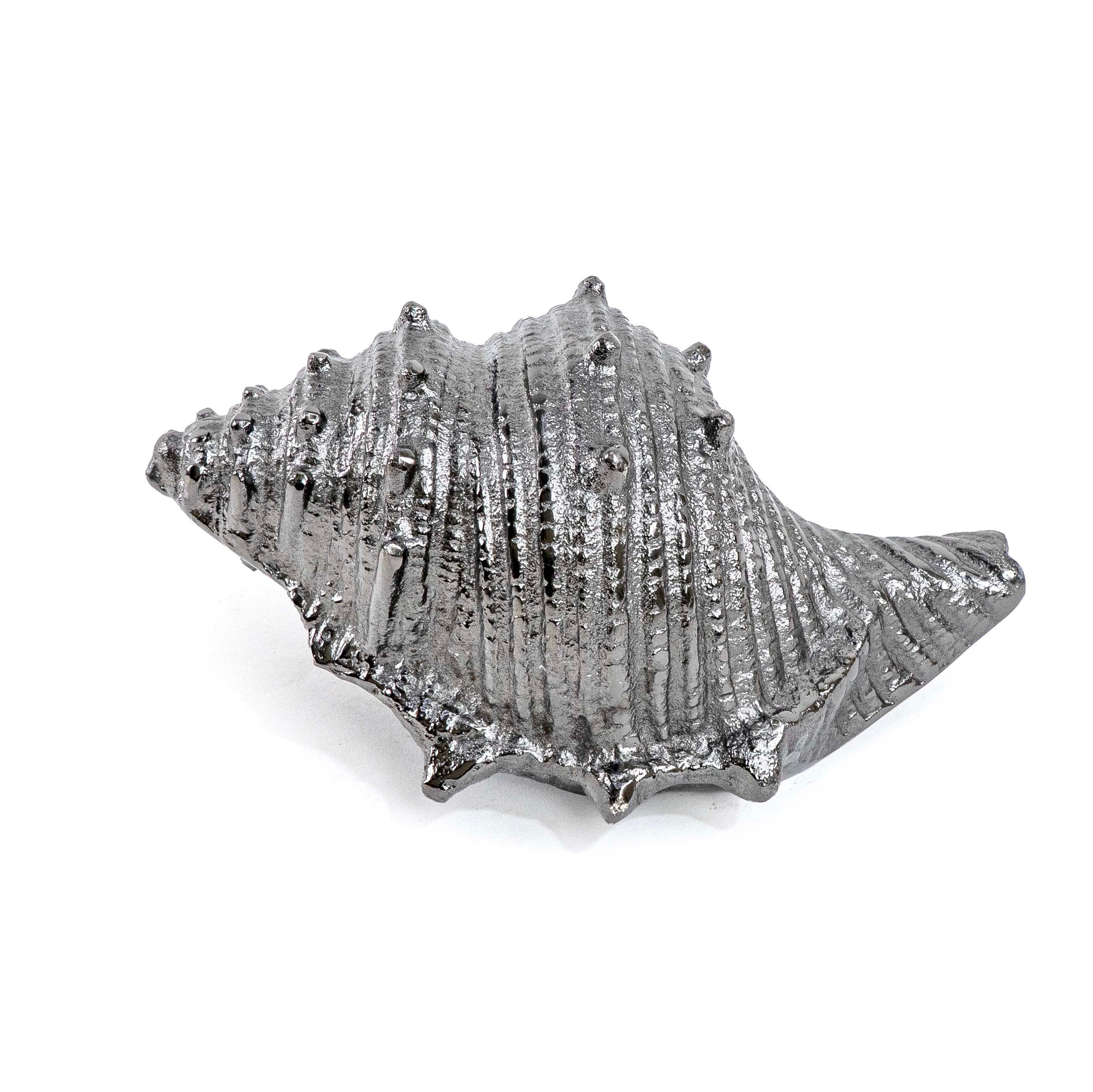 CONCH SHELL