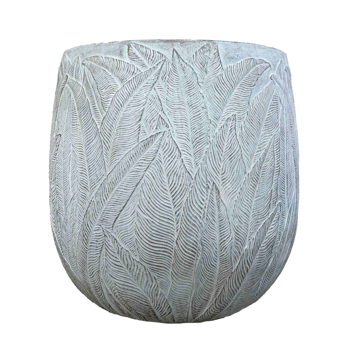 FERN OLLY PLANTER