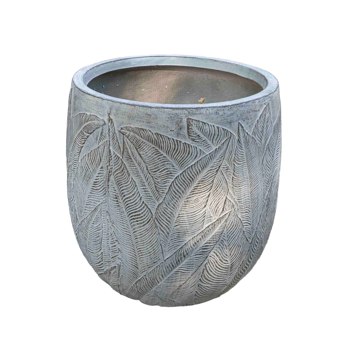FERN OLLY PLANTER