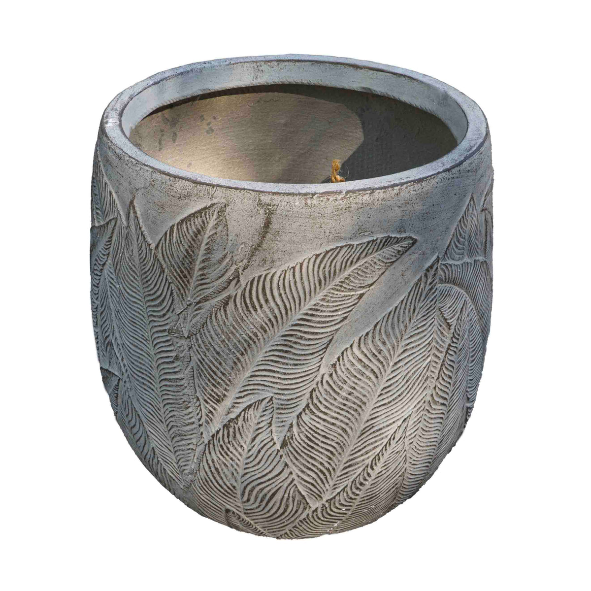FERN OLLY PLANTER
