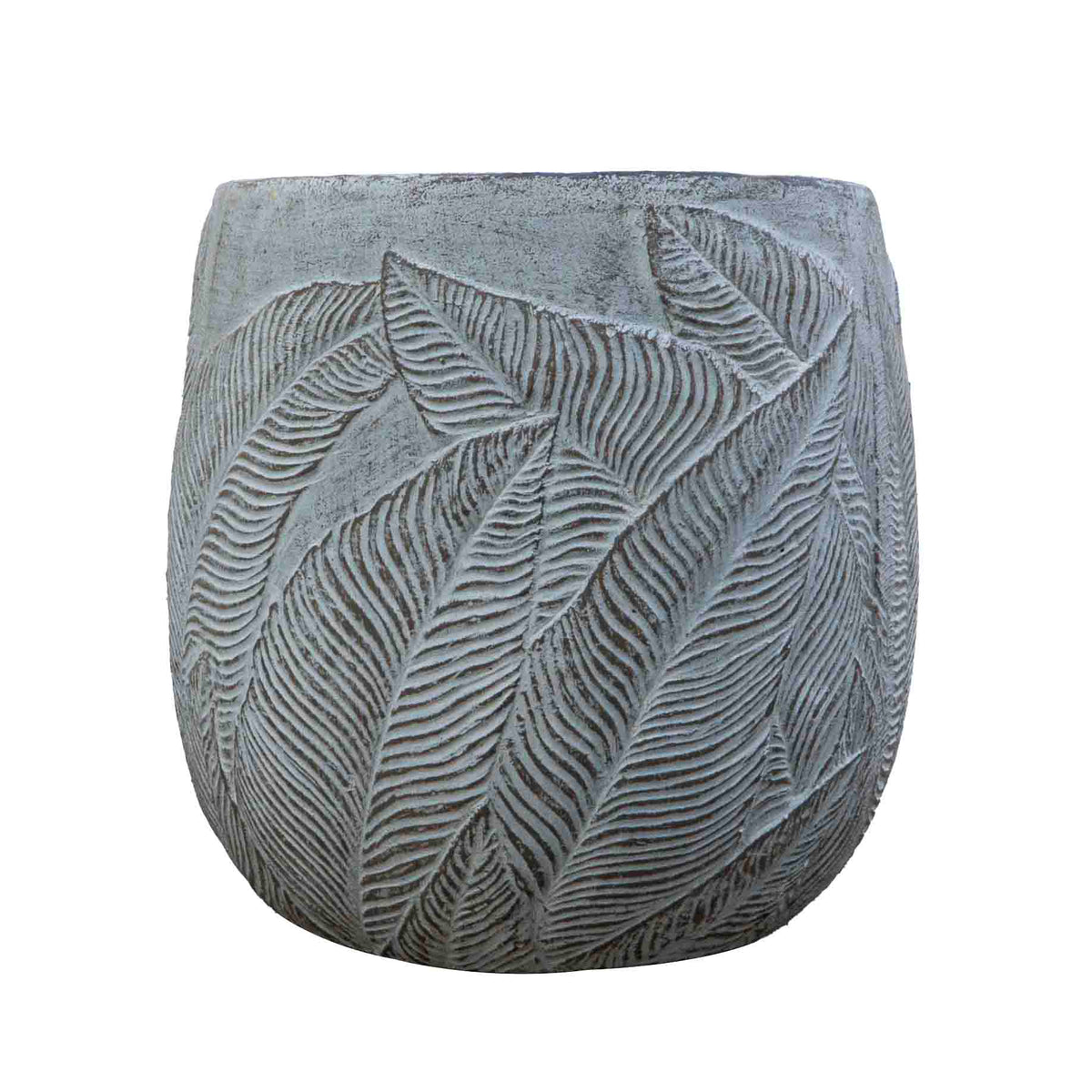FERN OLLY PLANTER