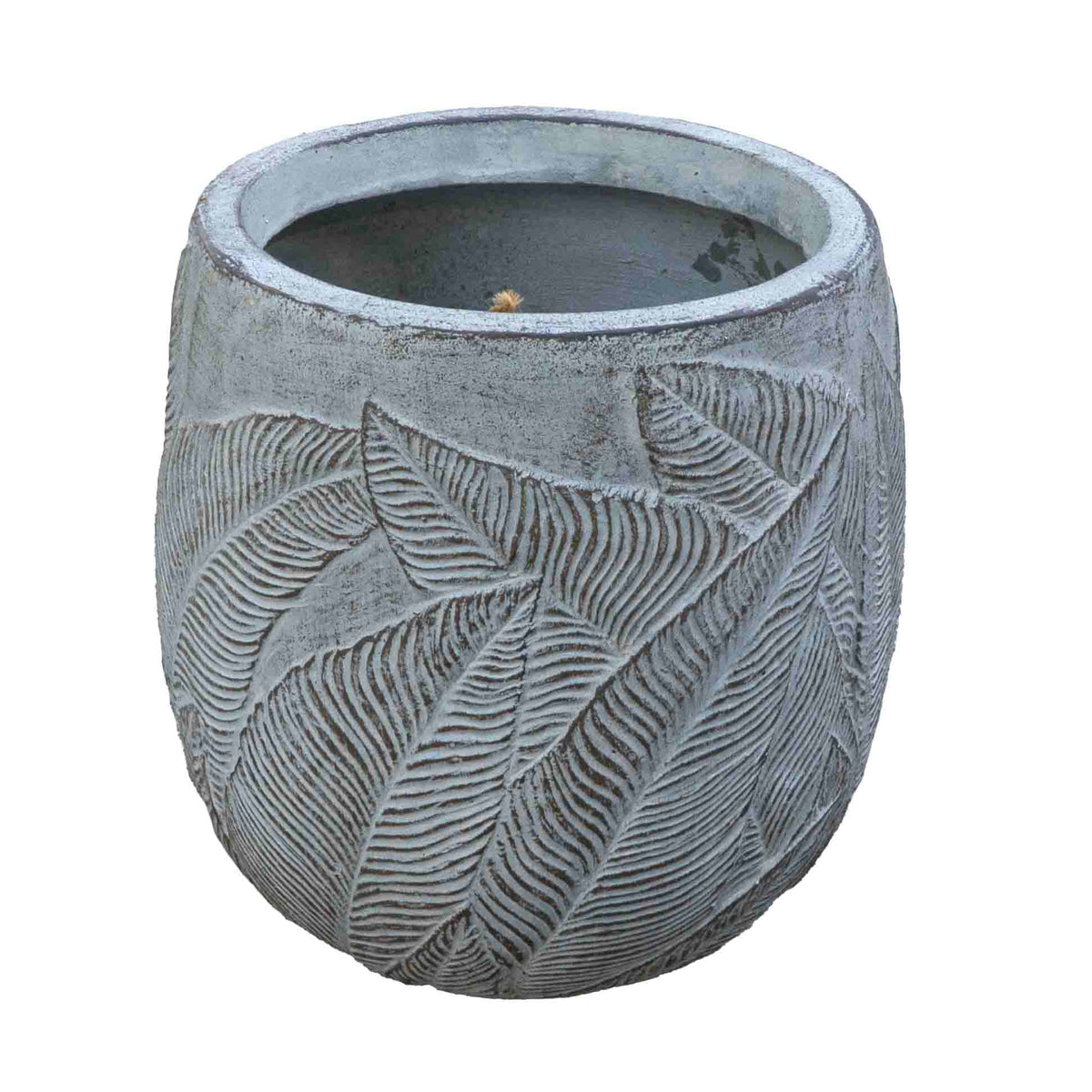 FERN OLLY PLANTER