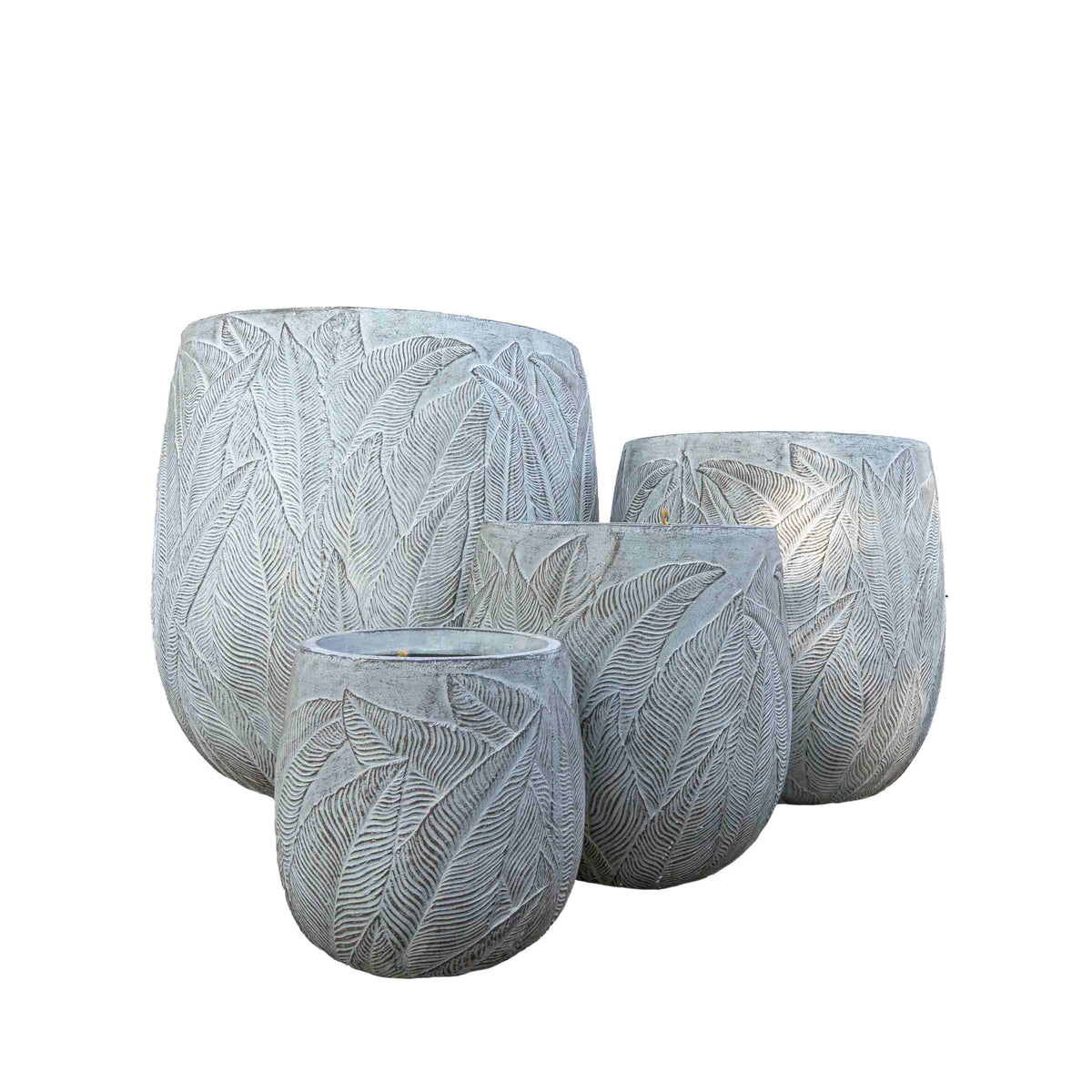 FERN OLLY PLANTER