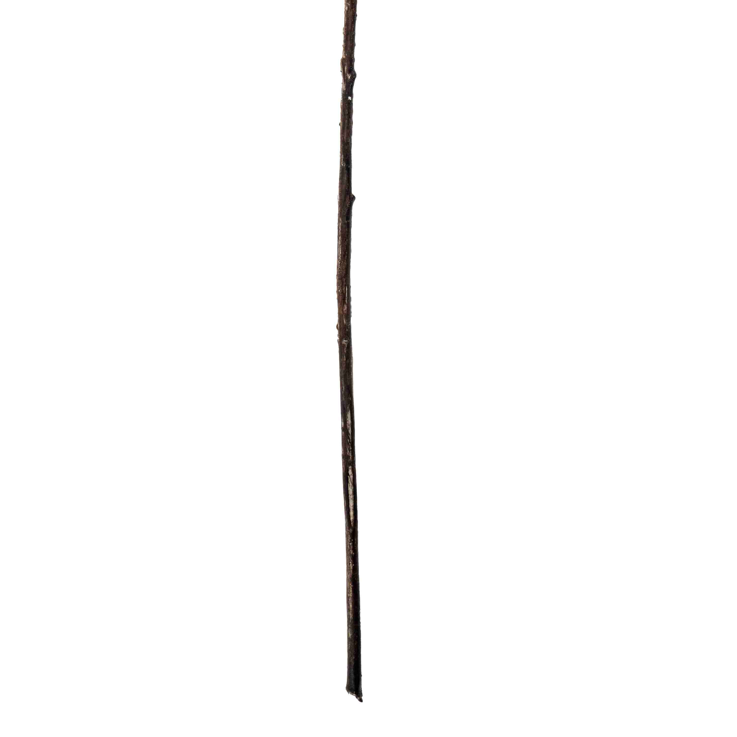 FAUX KANGAROO PAW SPRAY STEM