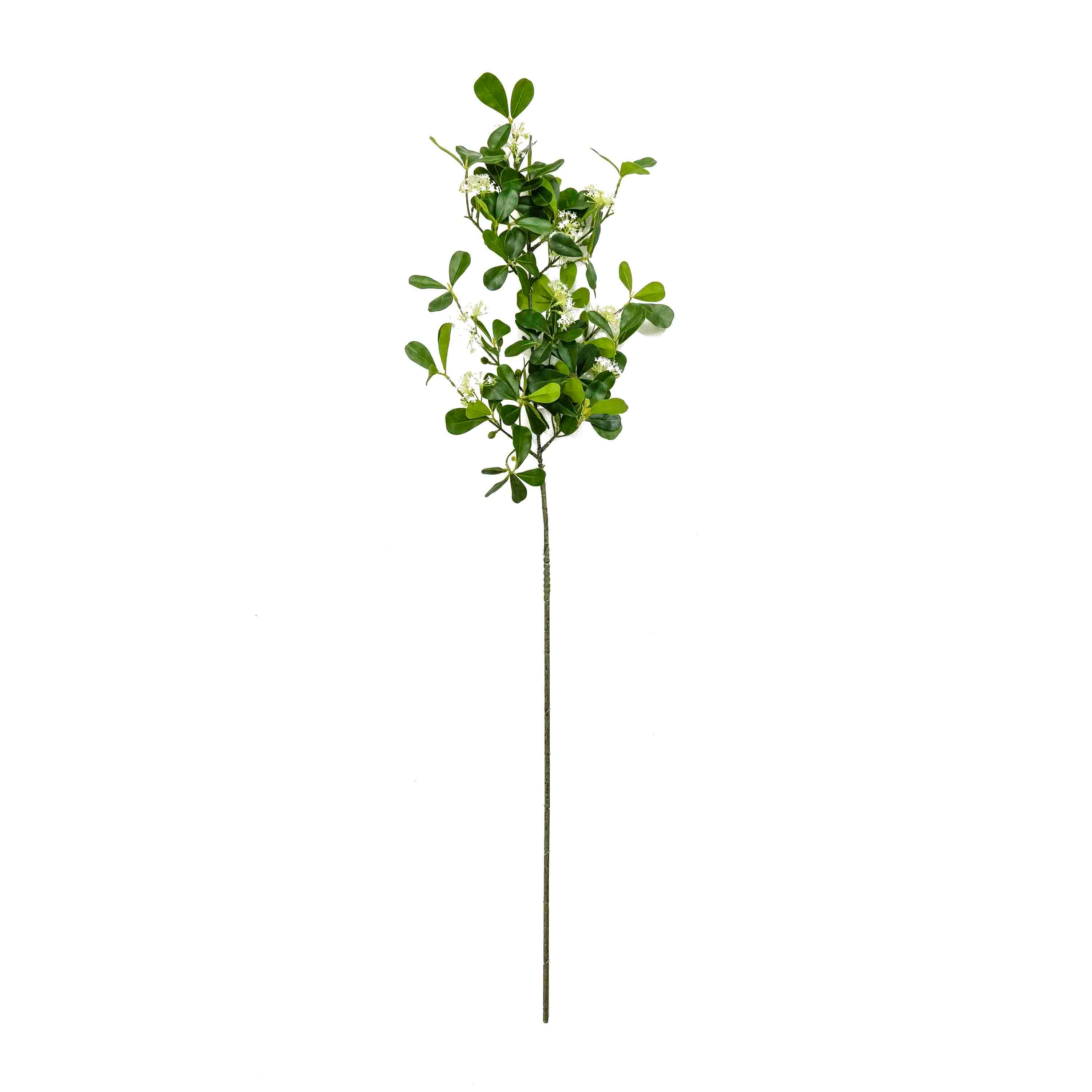 FAUX HOYA AUSTRALIS STEM FOLIAGE