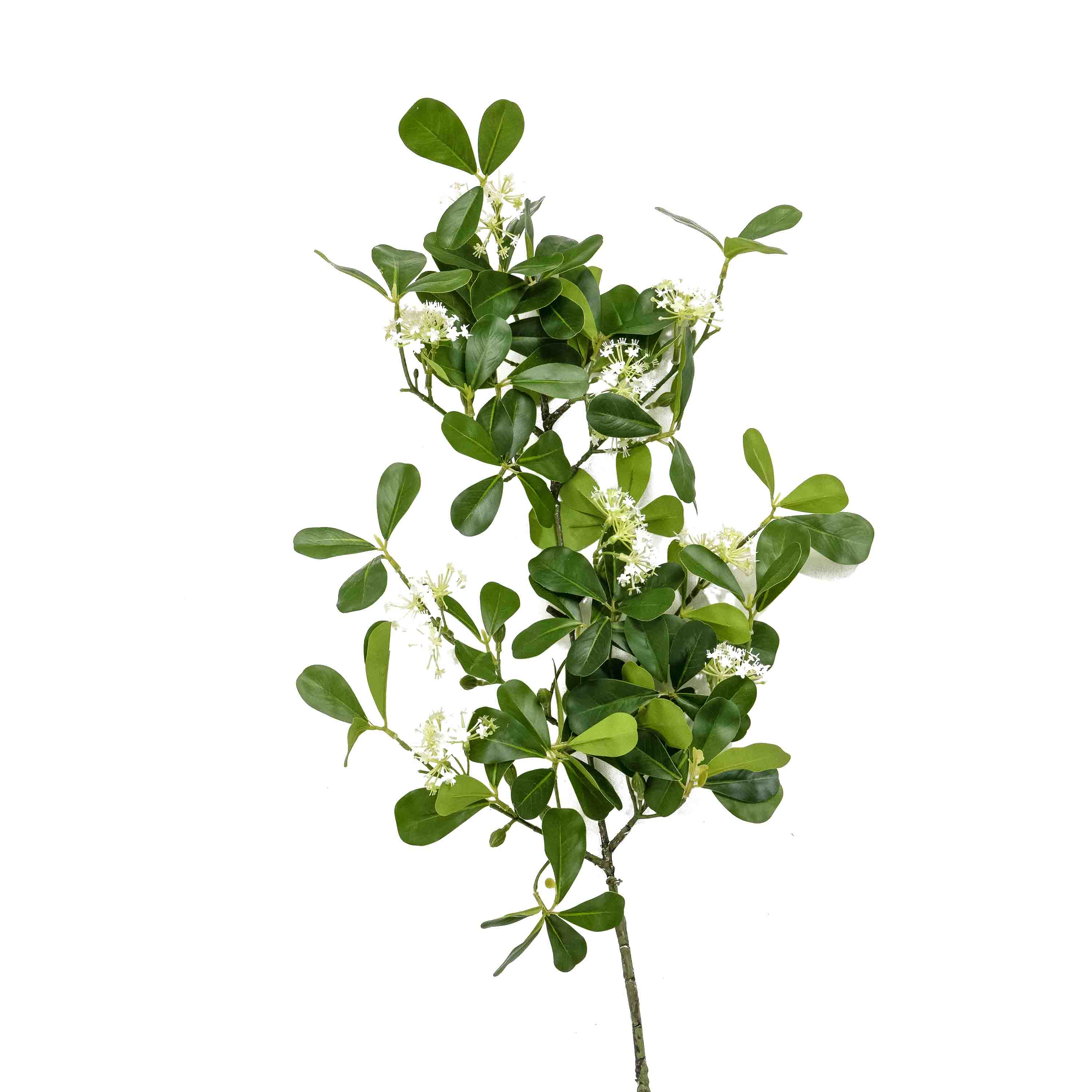 FAUX HOYA AUSTRALIS STEM FOLIAGE