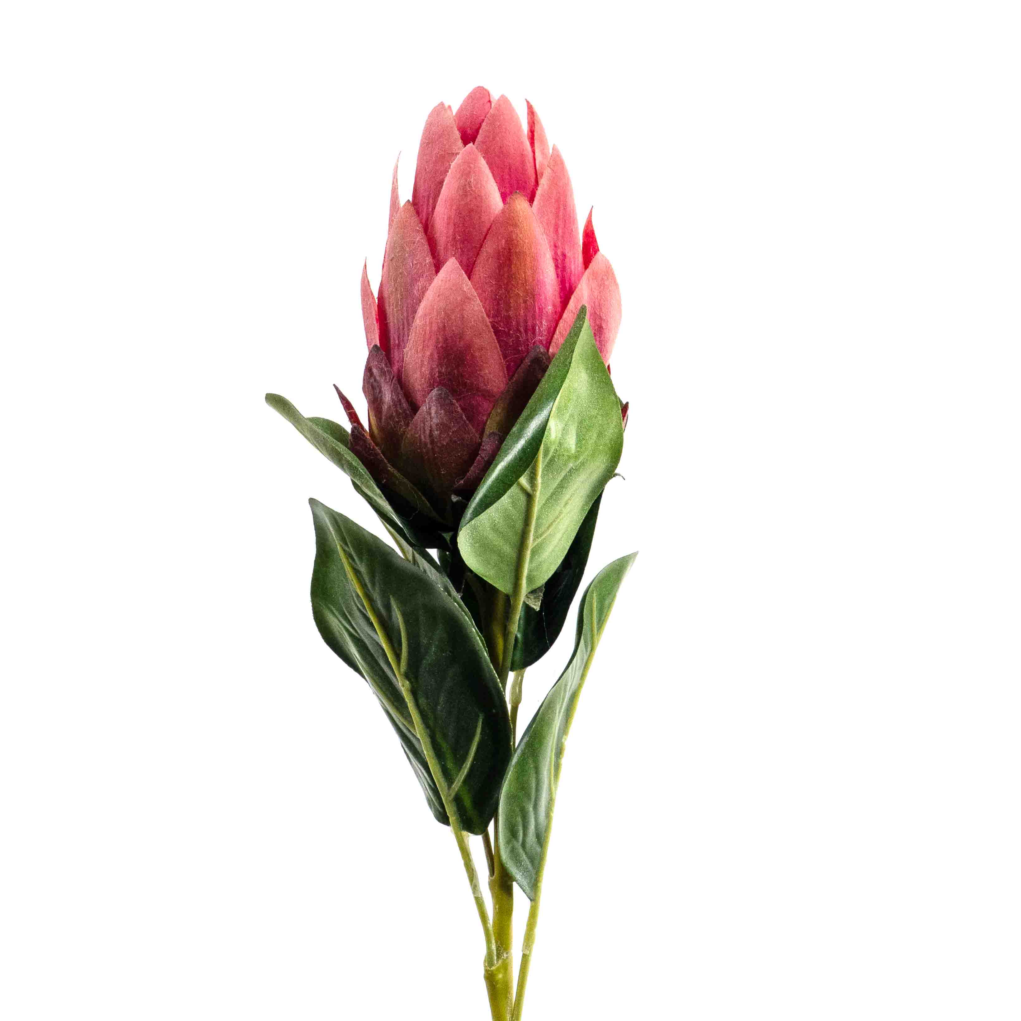 FAUX PROTEA STEM