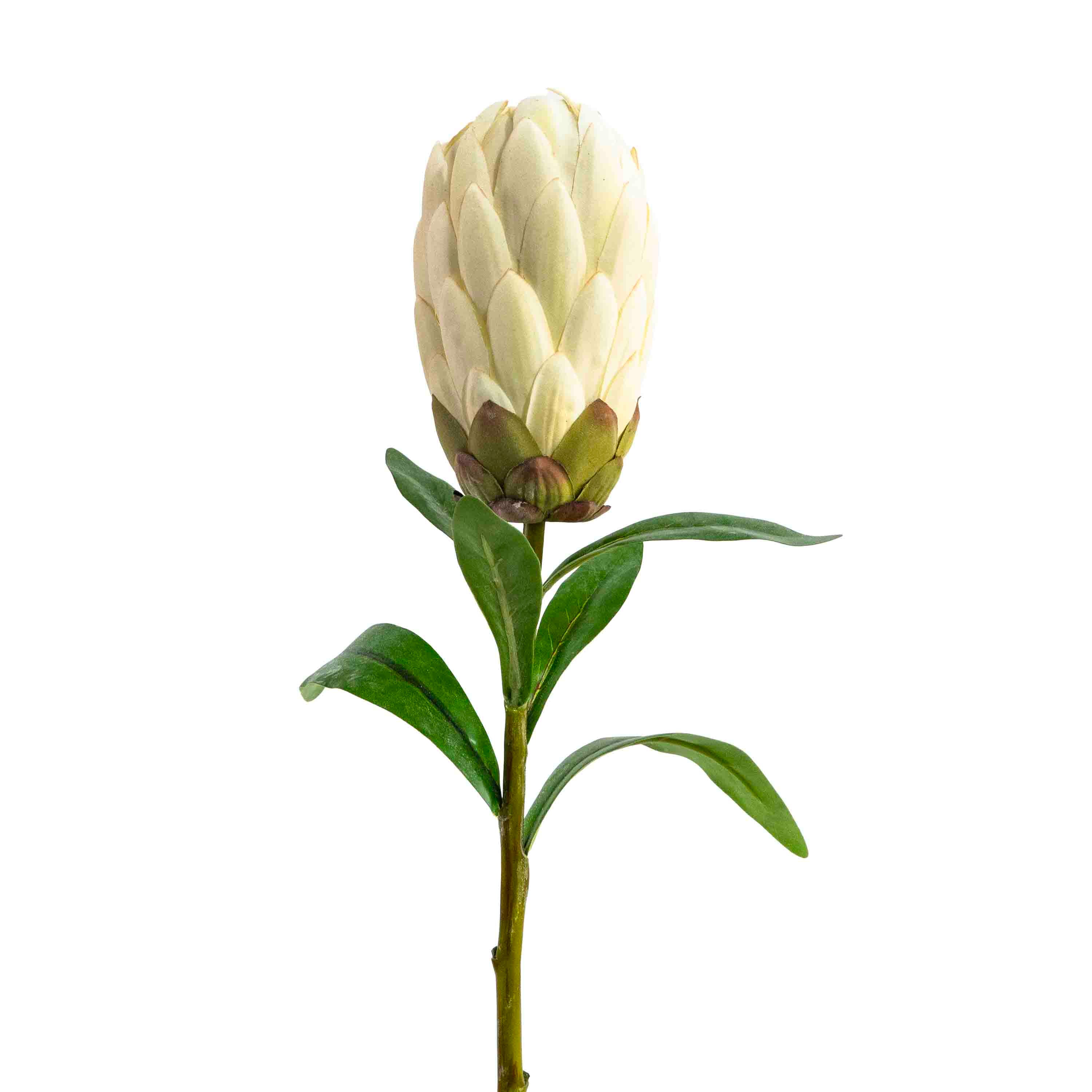 FAUX PROTEA STEM