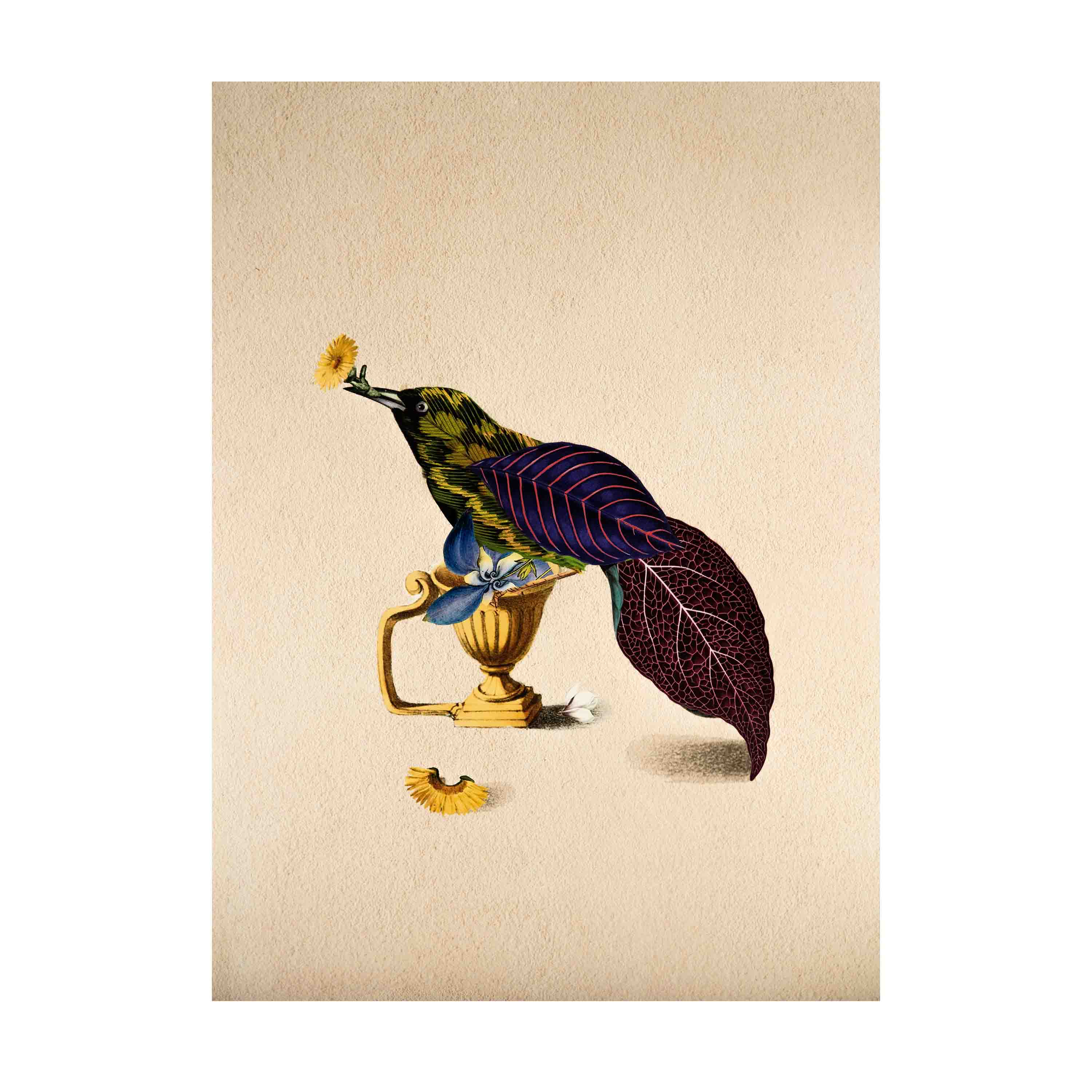 Cuckoo Bird Poster A2