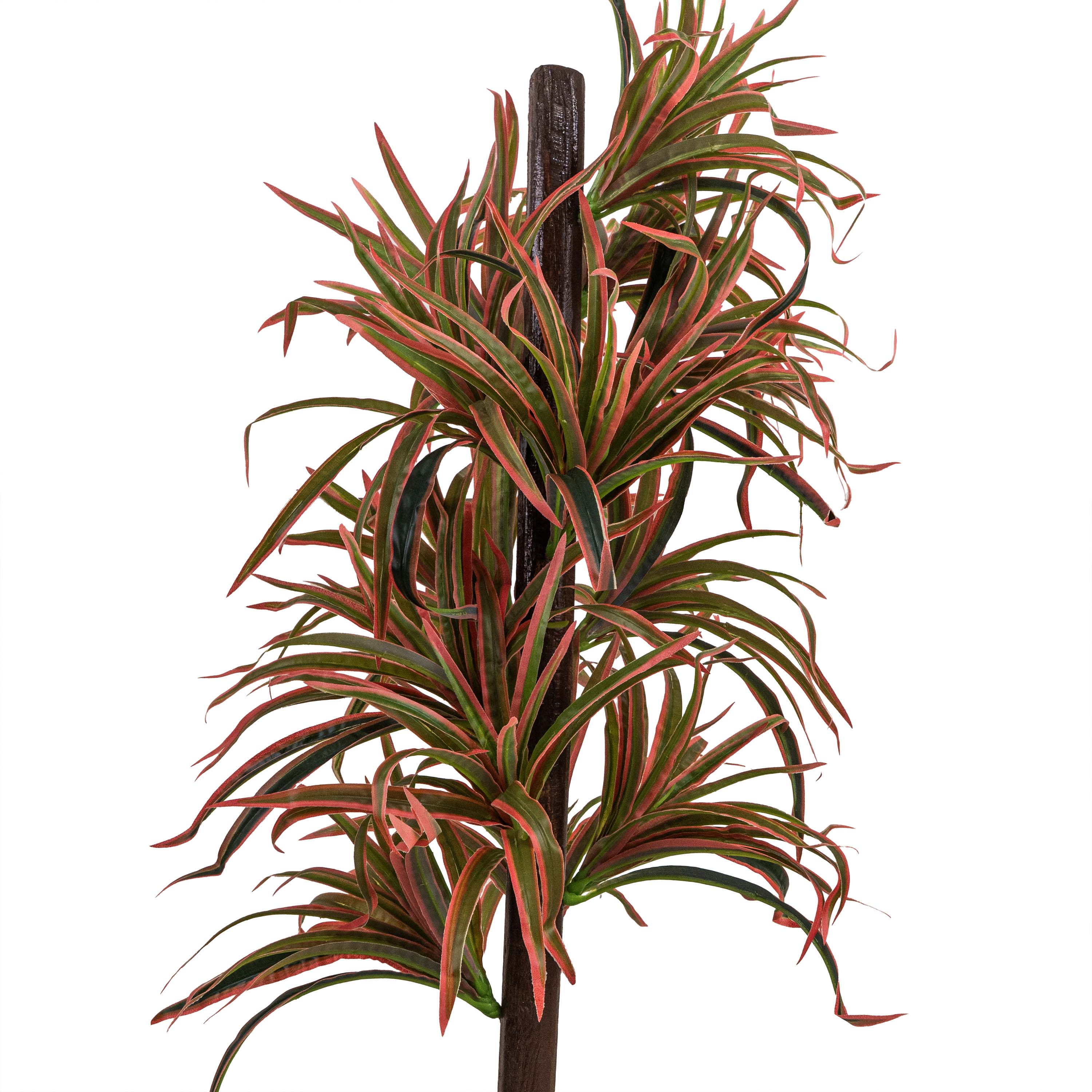 DRAGON TREE FAUX PLANT